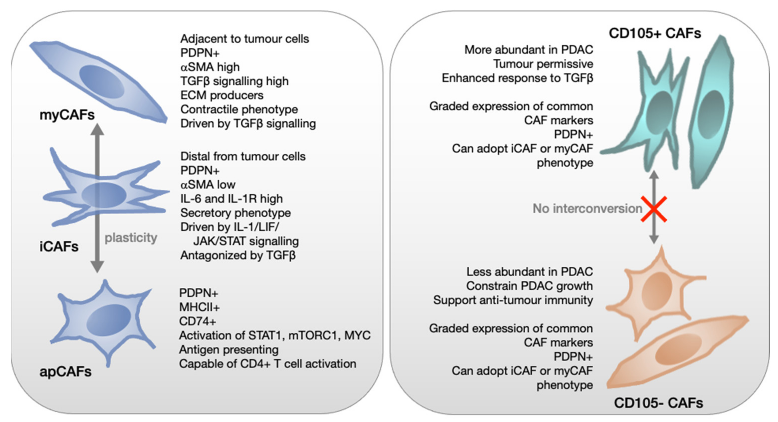 Cancers 13 04984 g002 Cancers 13 04984 g002