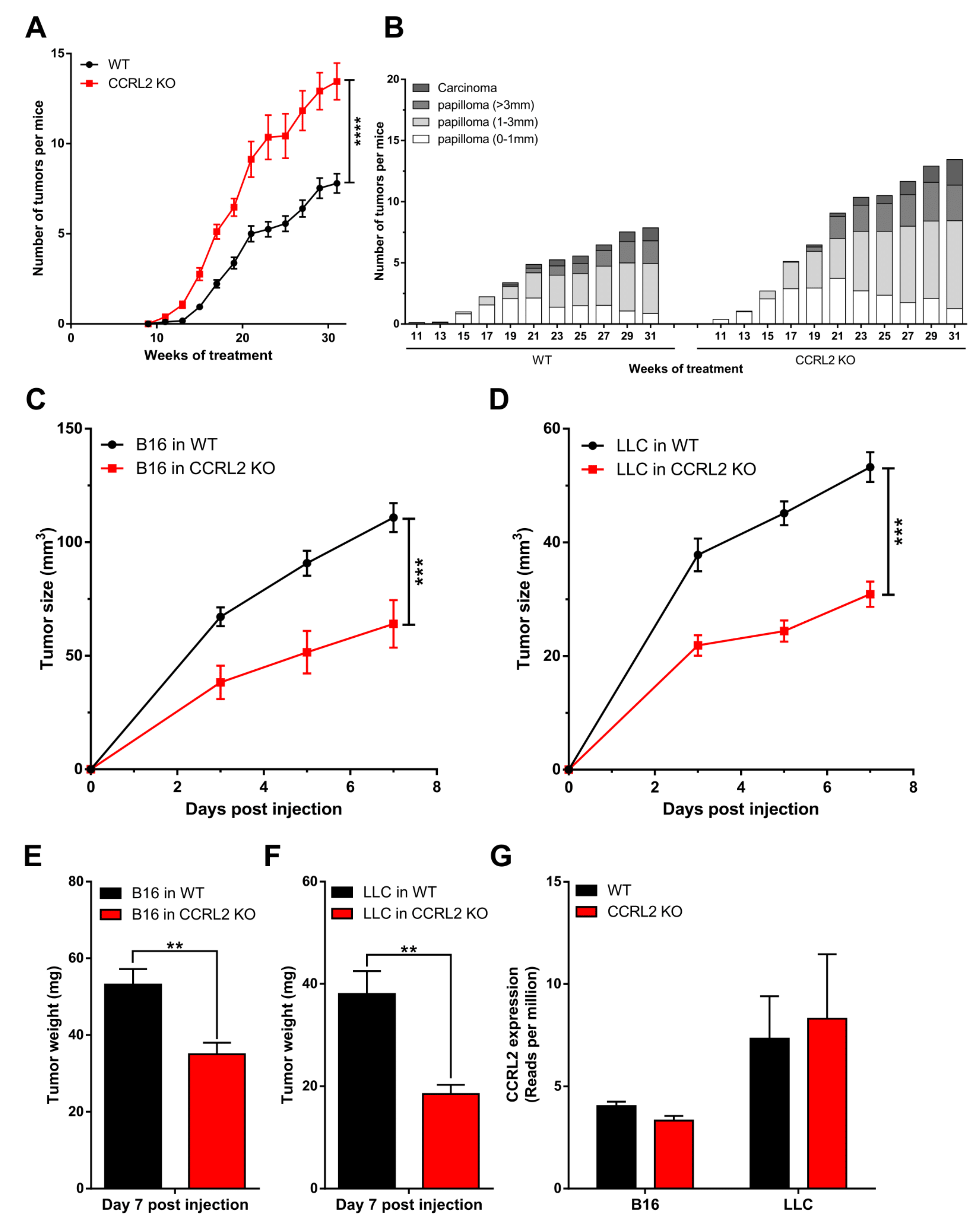 Cancers 13 05000 g001