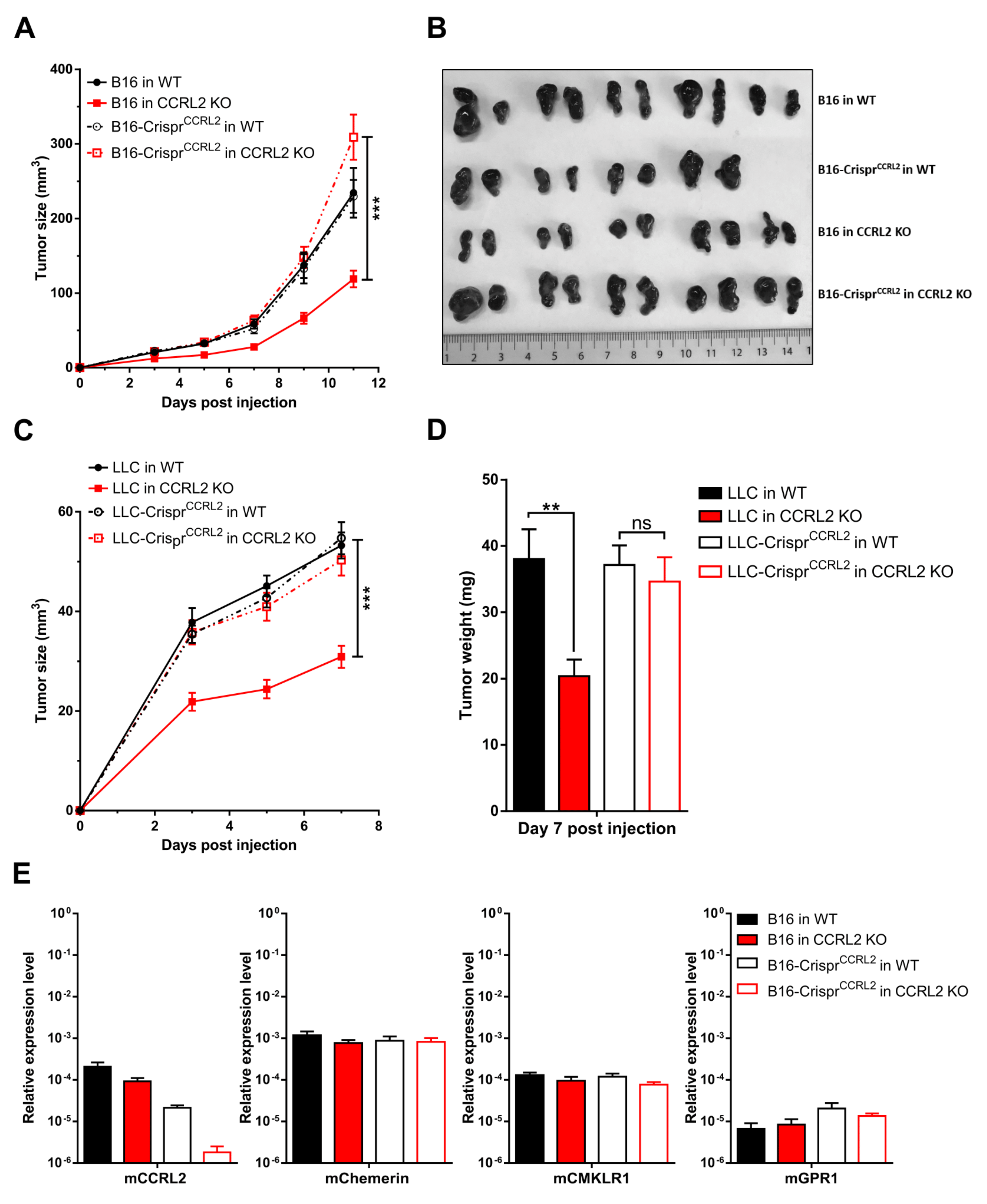 Cancers 13 05000 g003