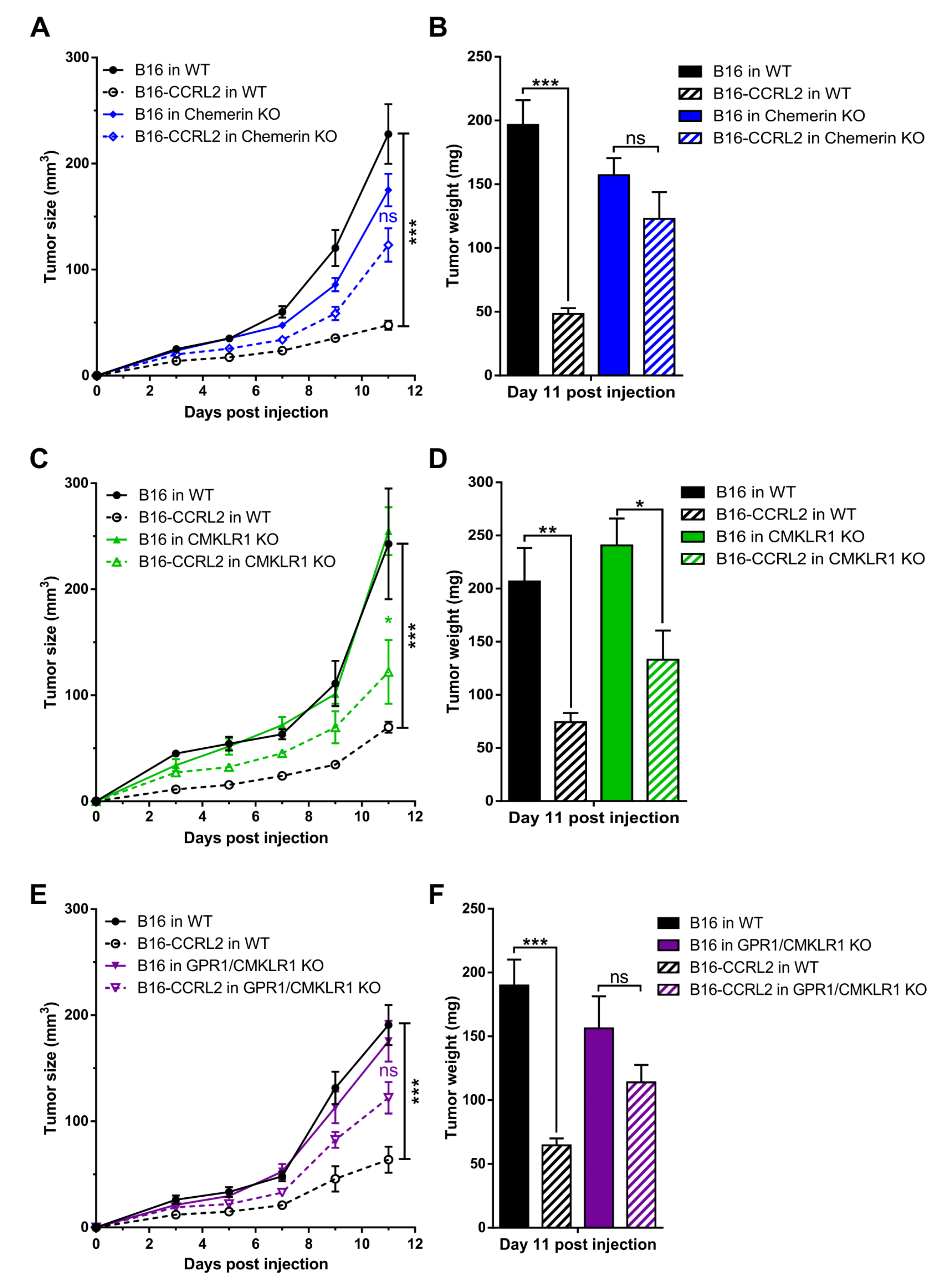 Cancers 13 05000 g004