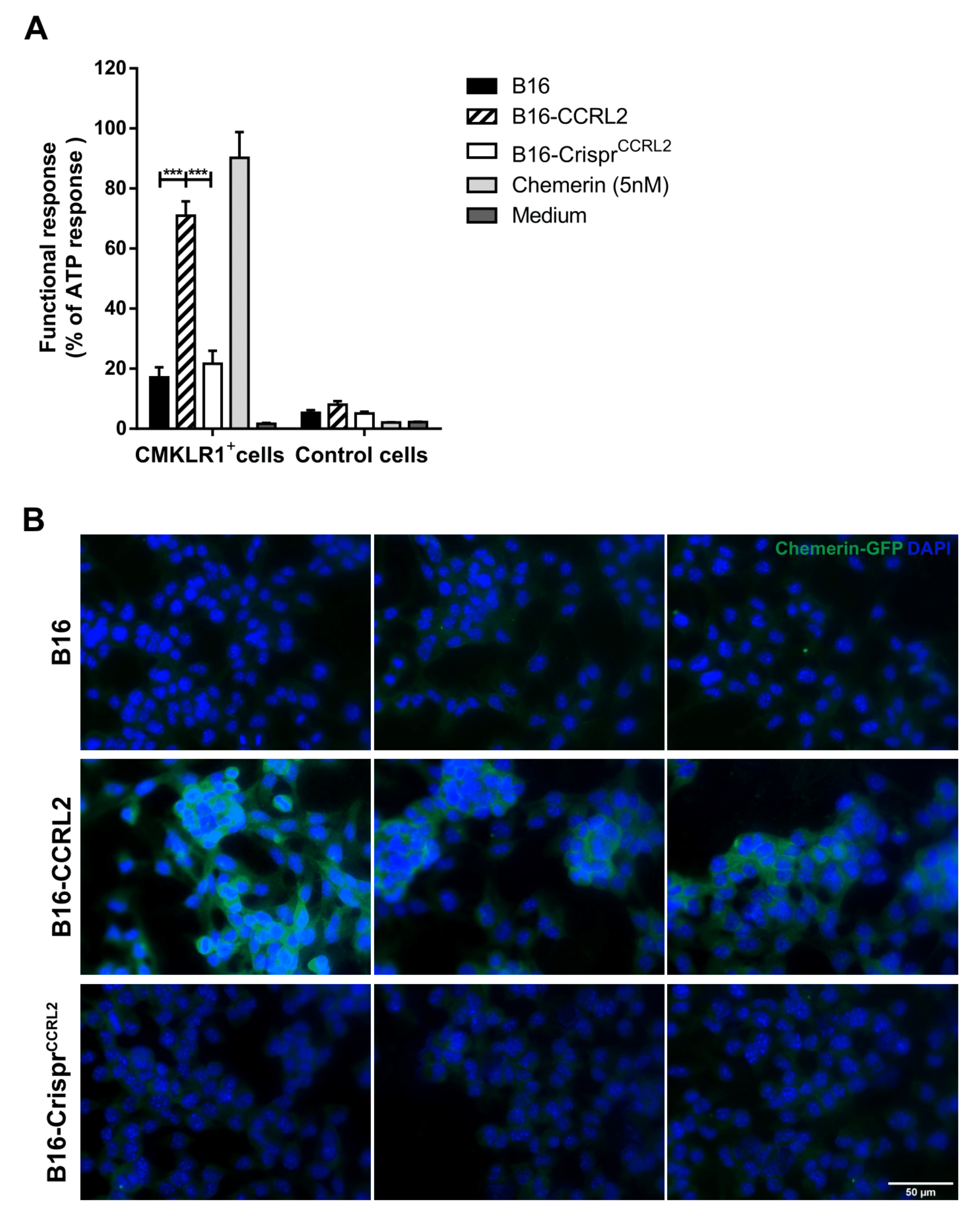 Cancers 13 05000 g006