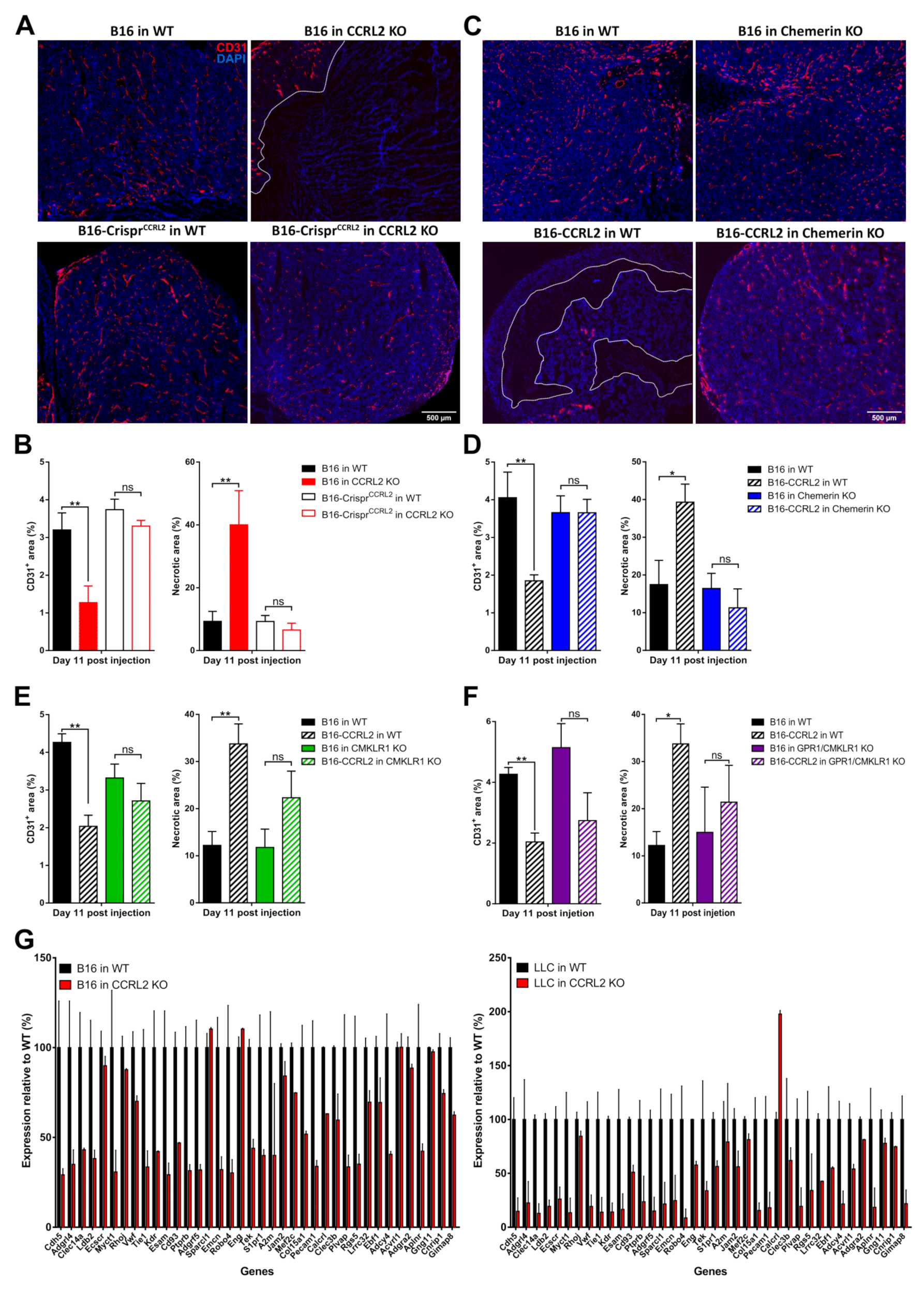 Cancers 13 05000 g007
