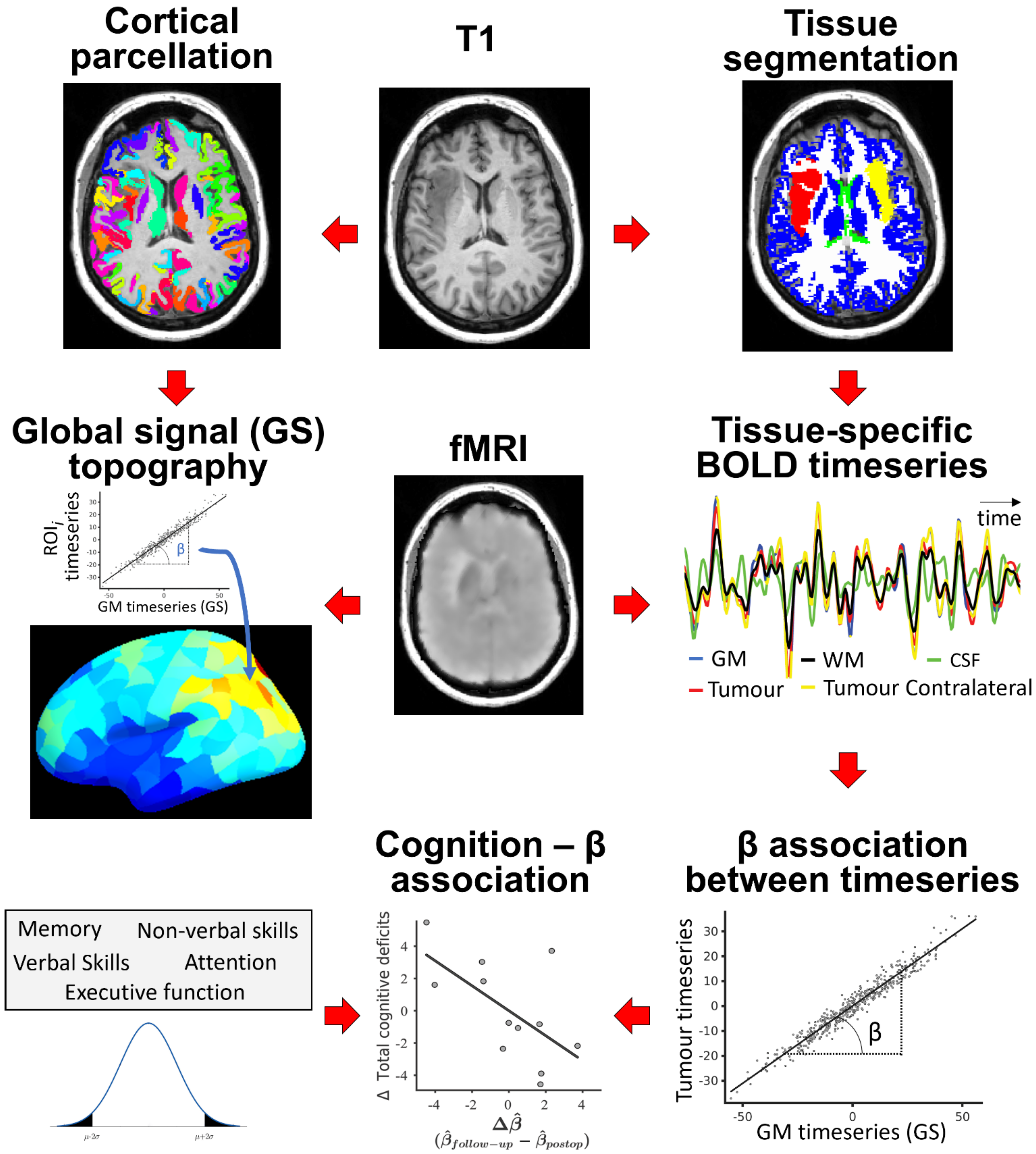 Cancers 13 05008 g001