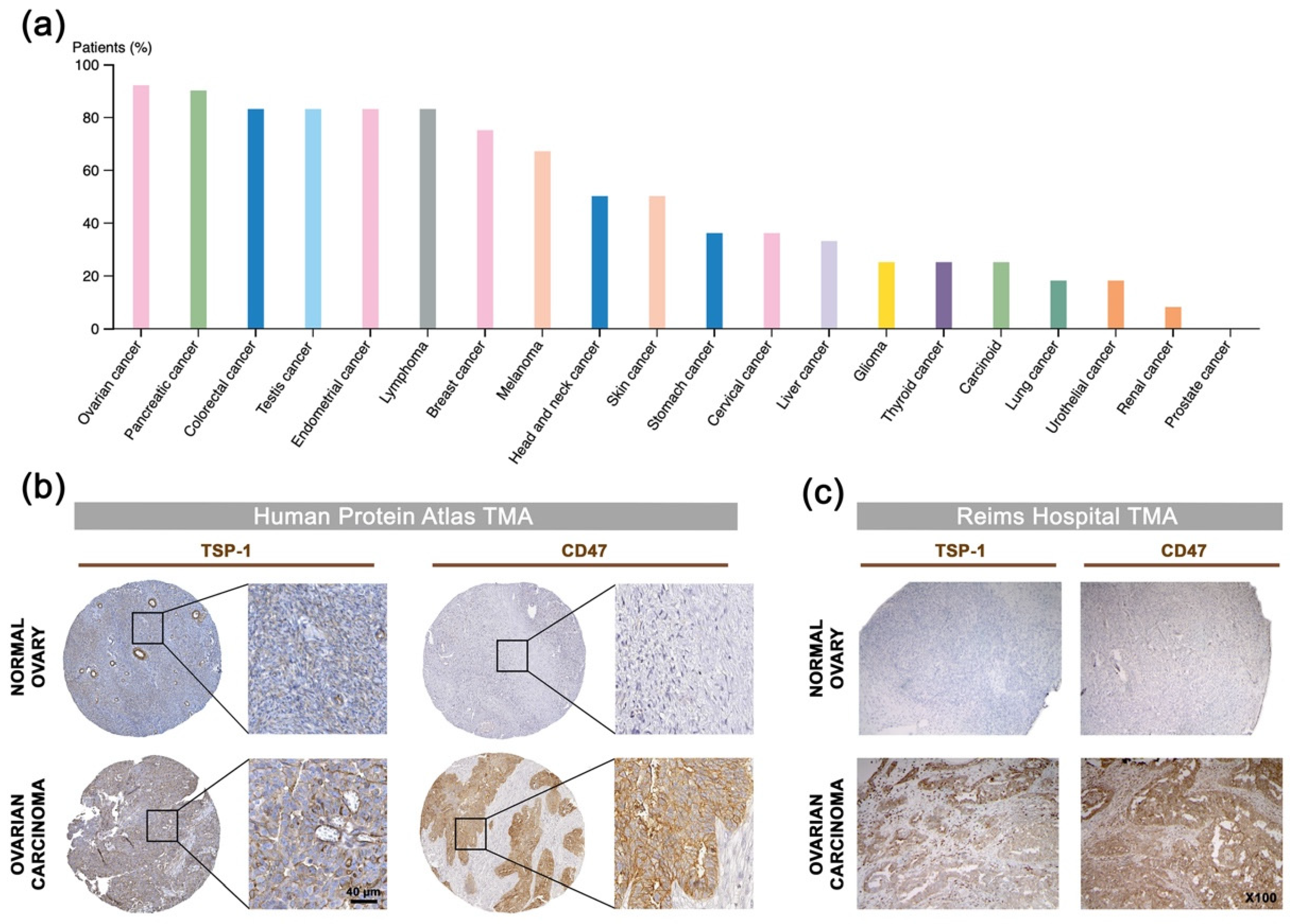 Cancers 13 05019 g002a