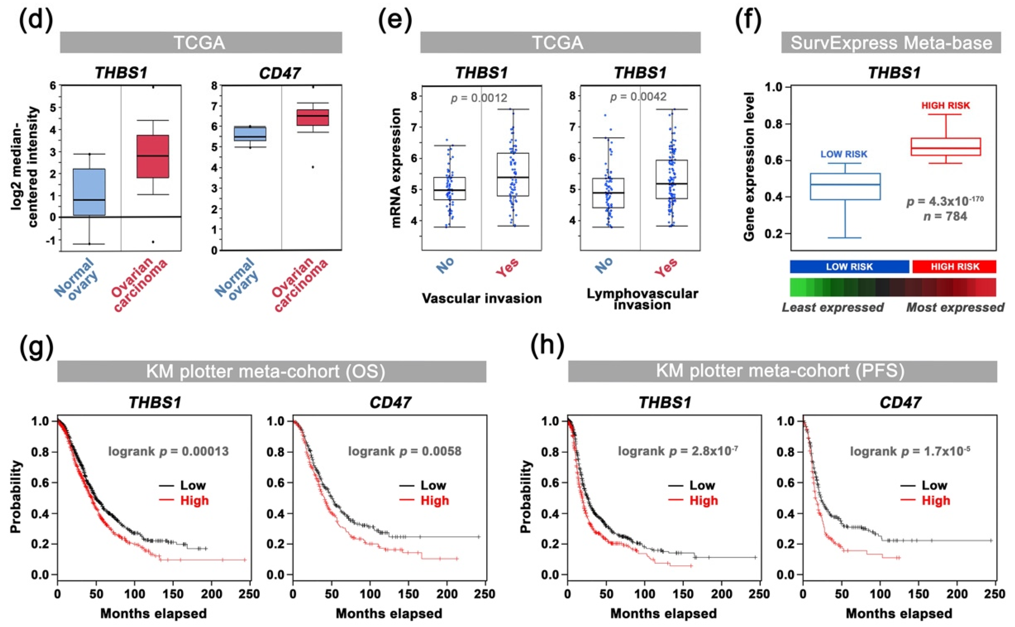 Cancers 13 05019 g002b