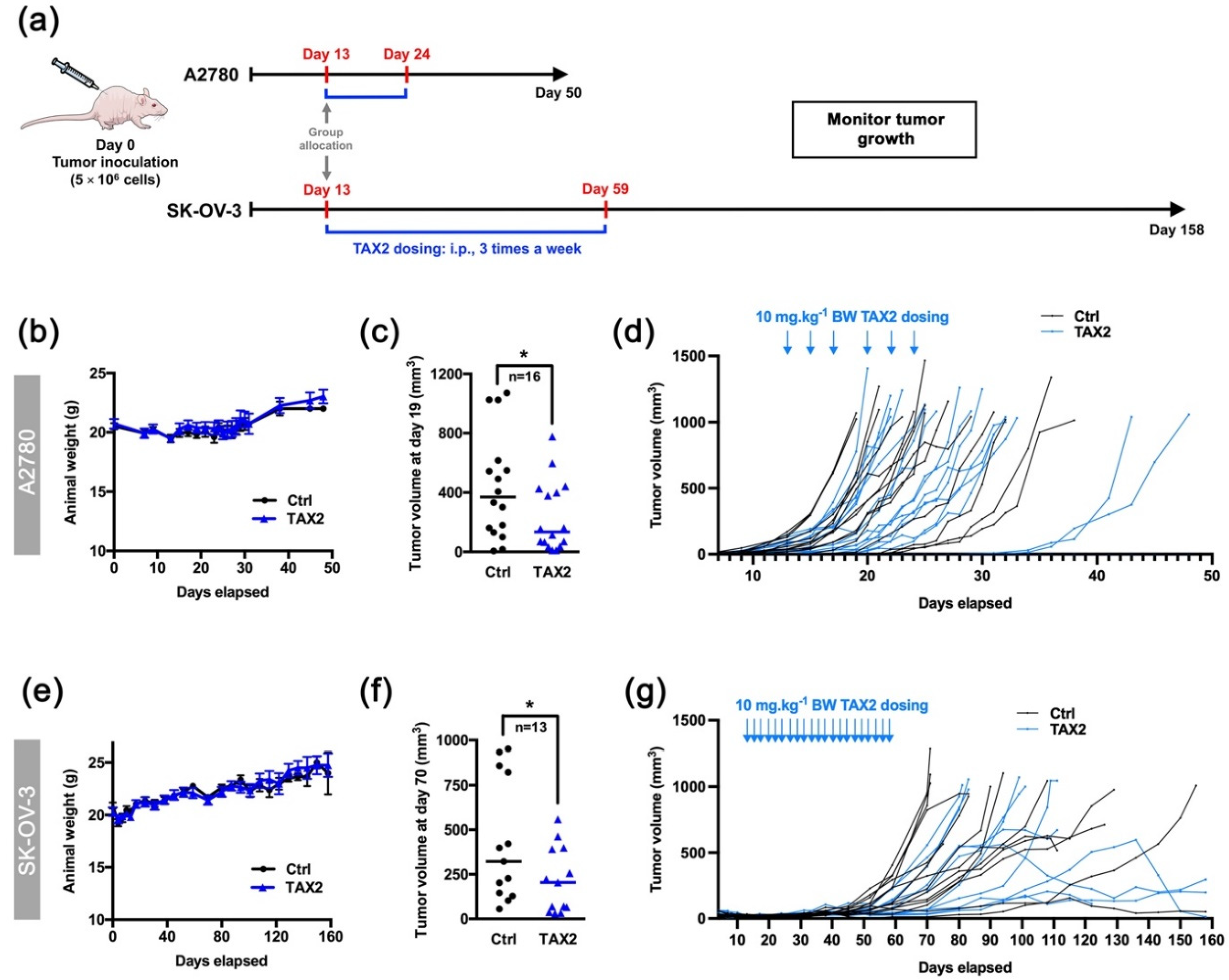 Cancers 13 05019 g003