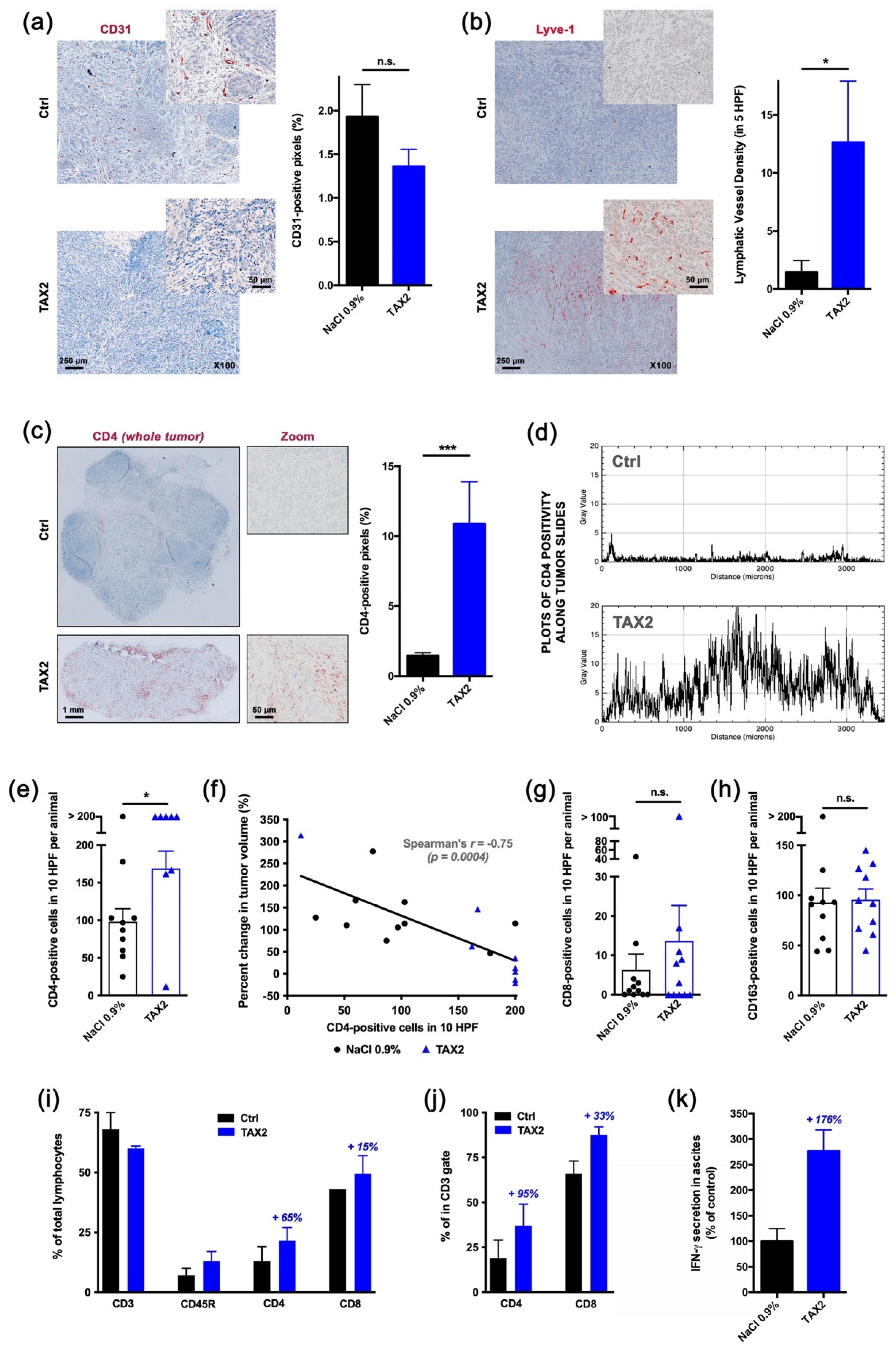 Cancers 13 05019 g004