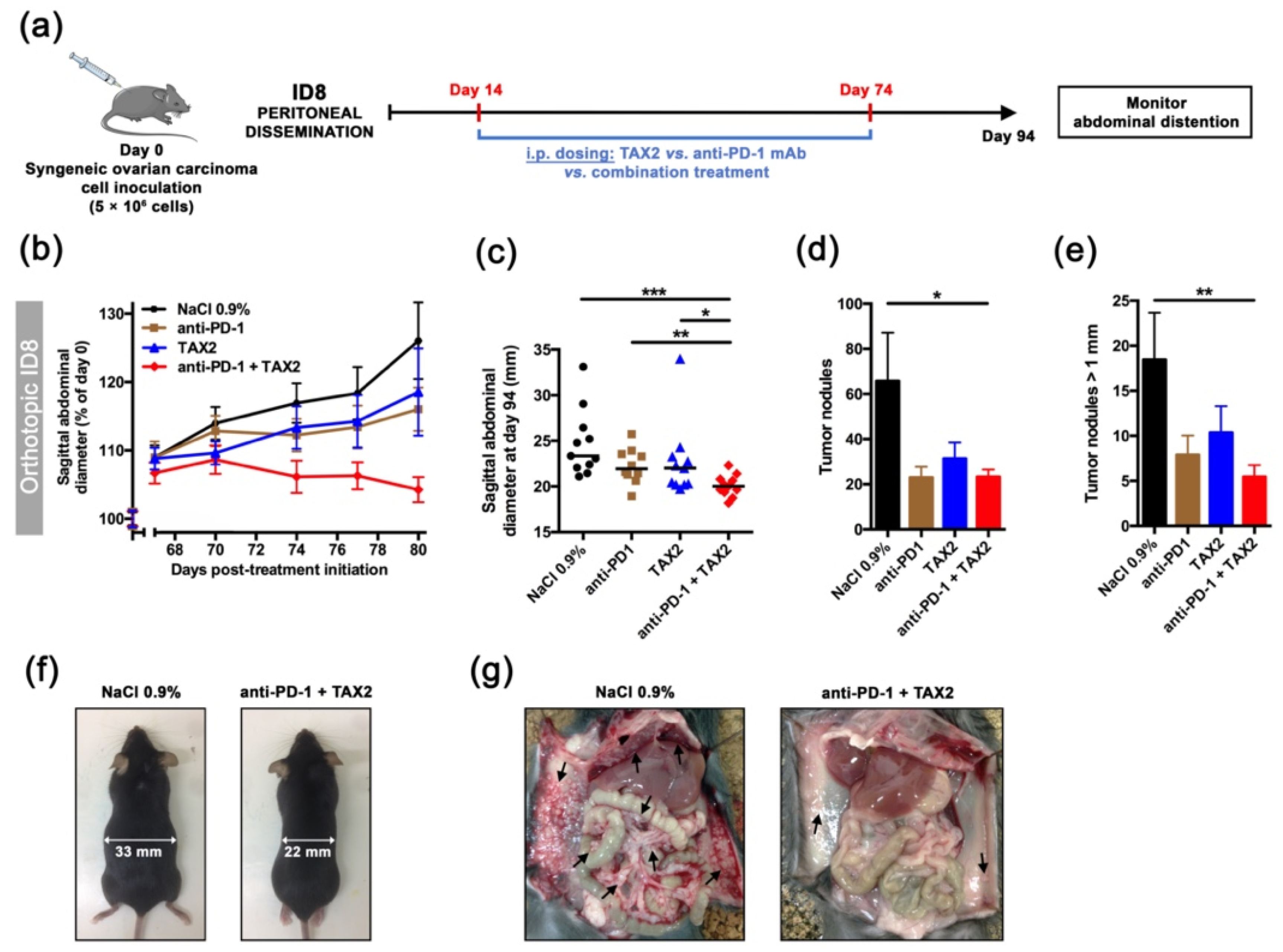 Cancers 13 05019 g006