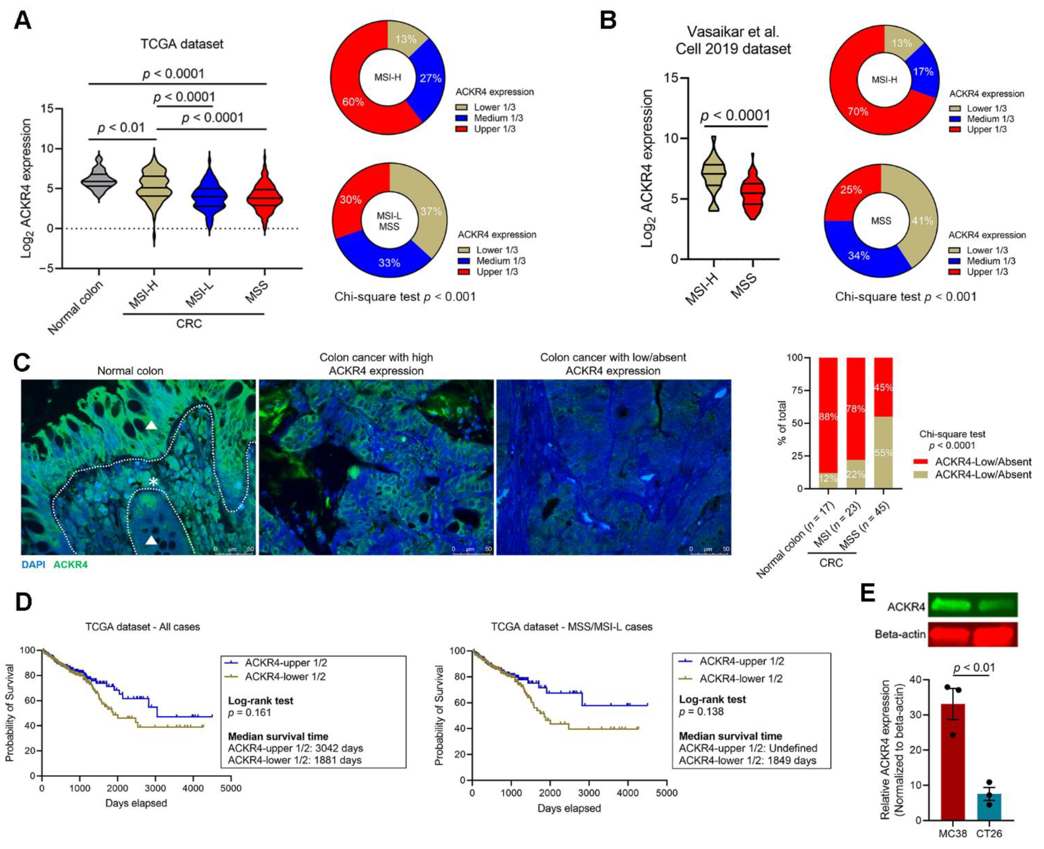 Cancers 13 05021 g001