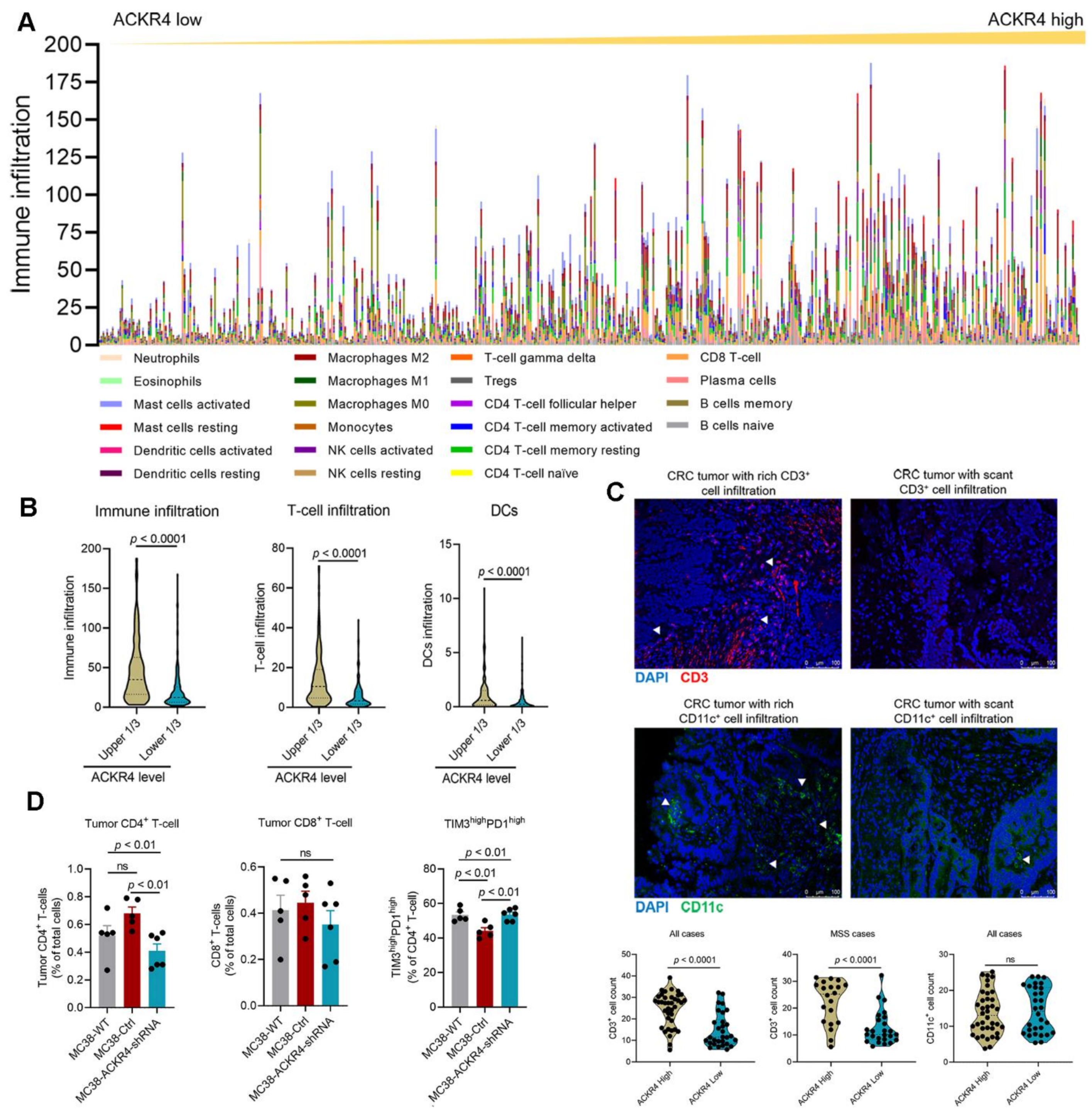 Cancers 13 05021 g003