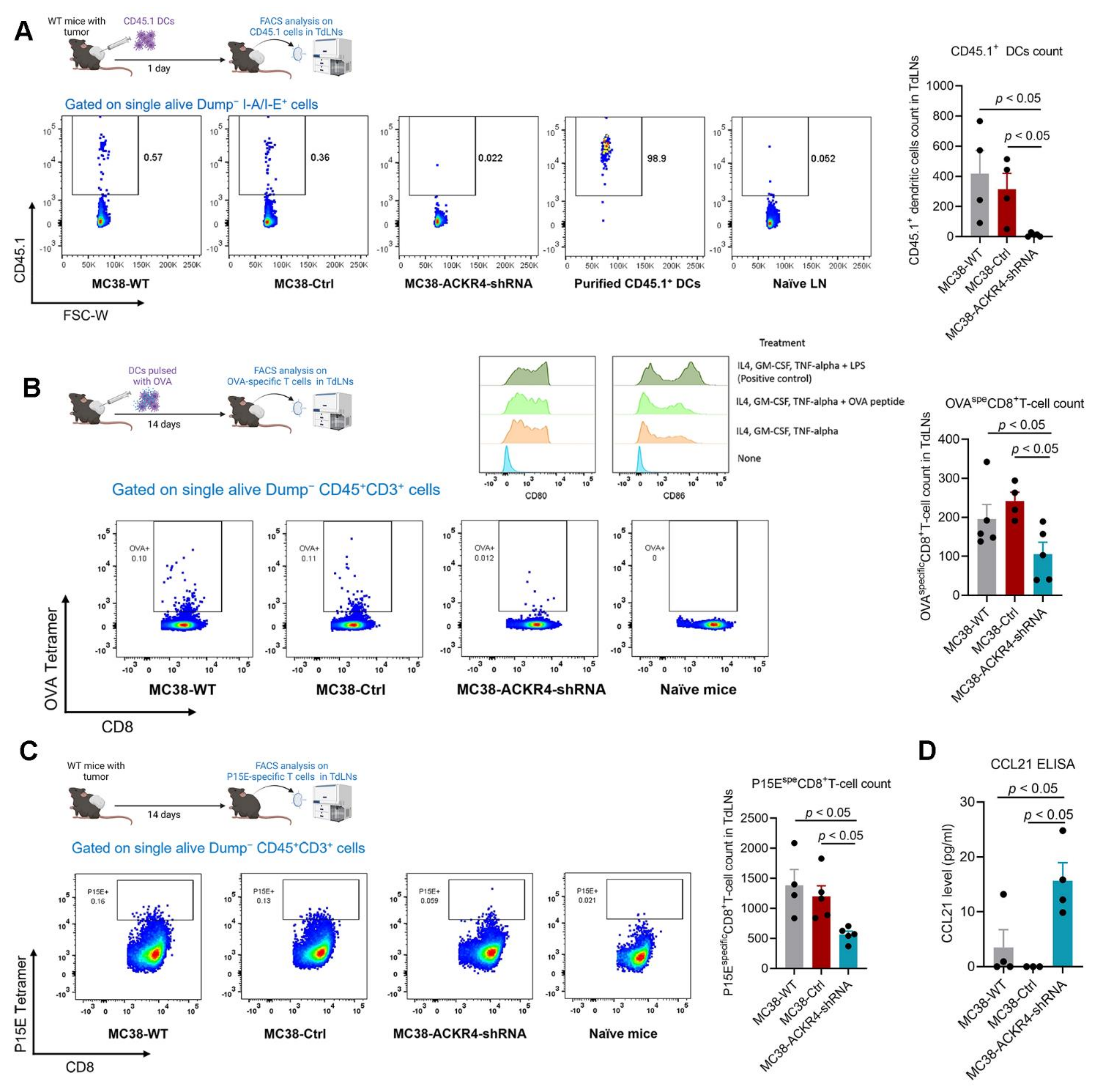 Cancers 13 05021 g004