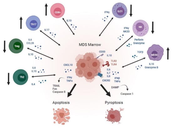 Cancers 13 05026 g001