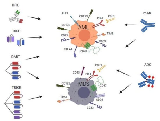 Cancers 13 05026 g002