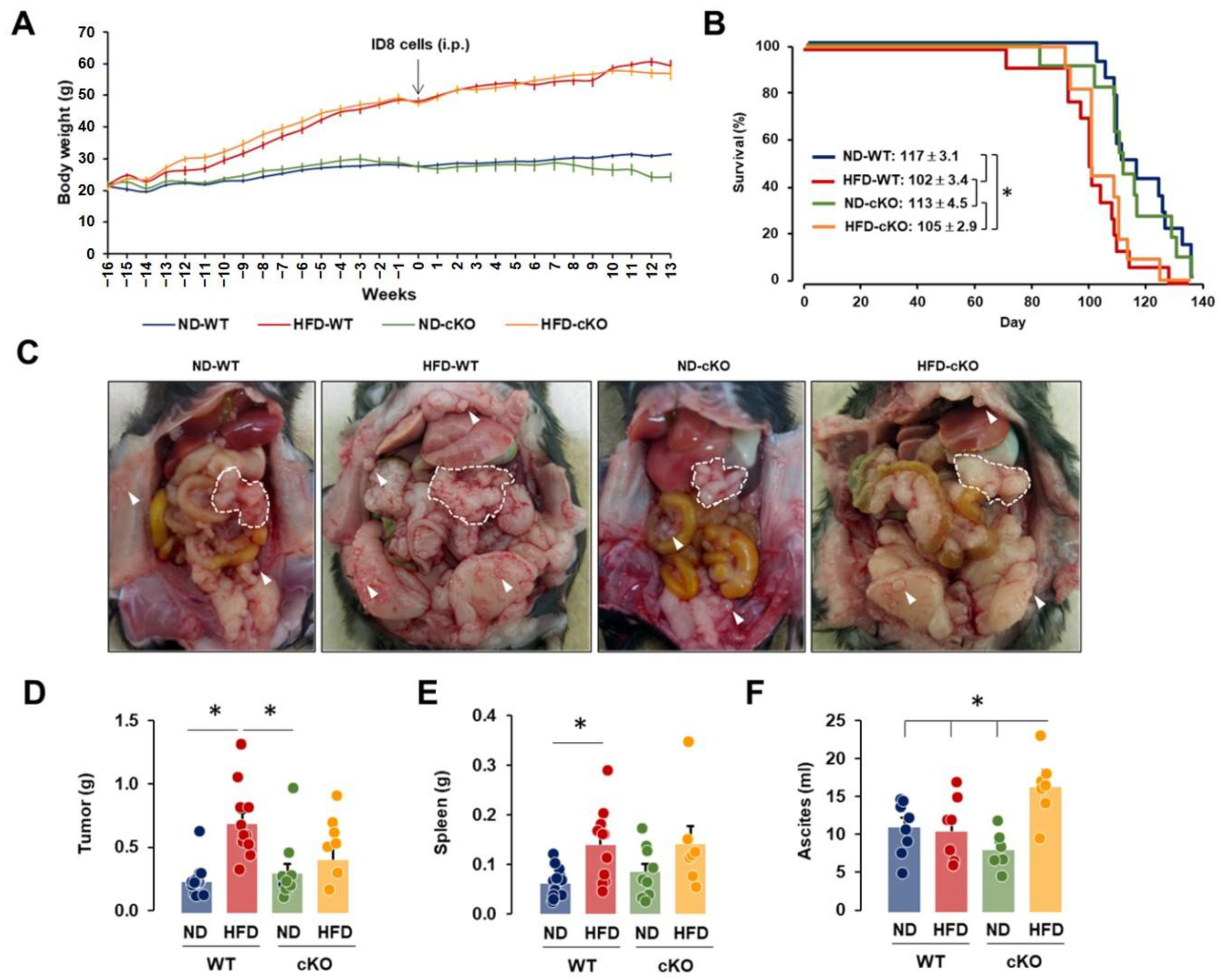 Cancers 13 05033 g002