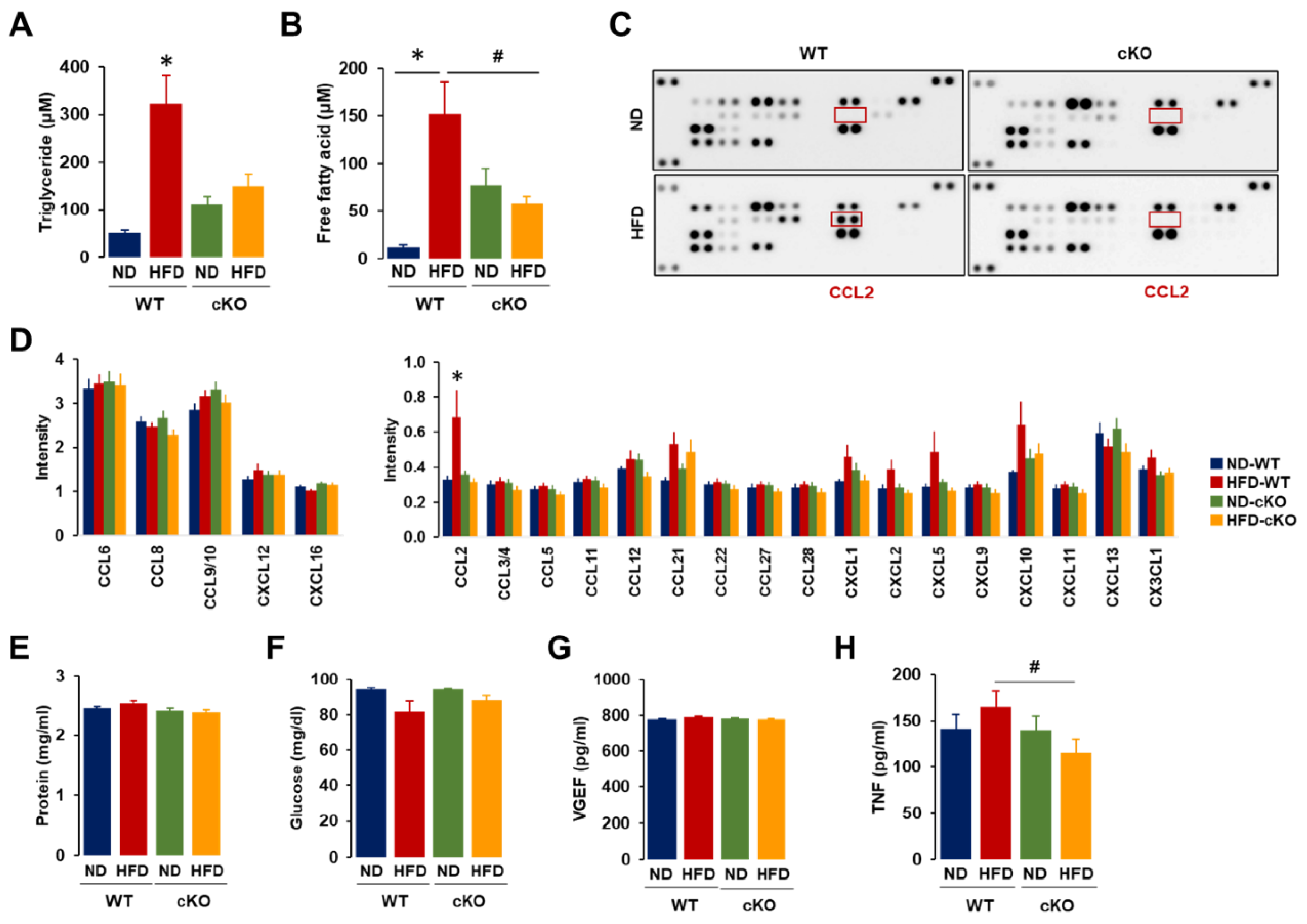 Cancers 13 05033 g004