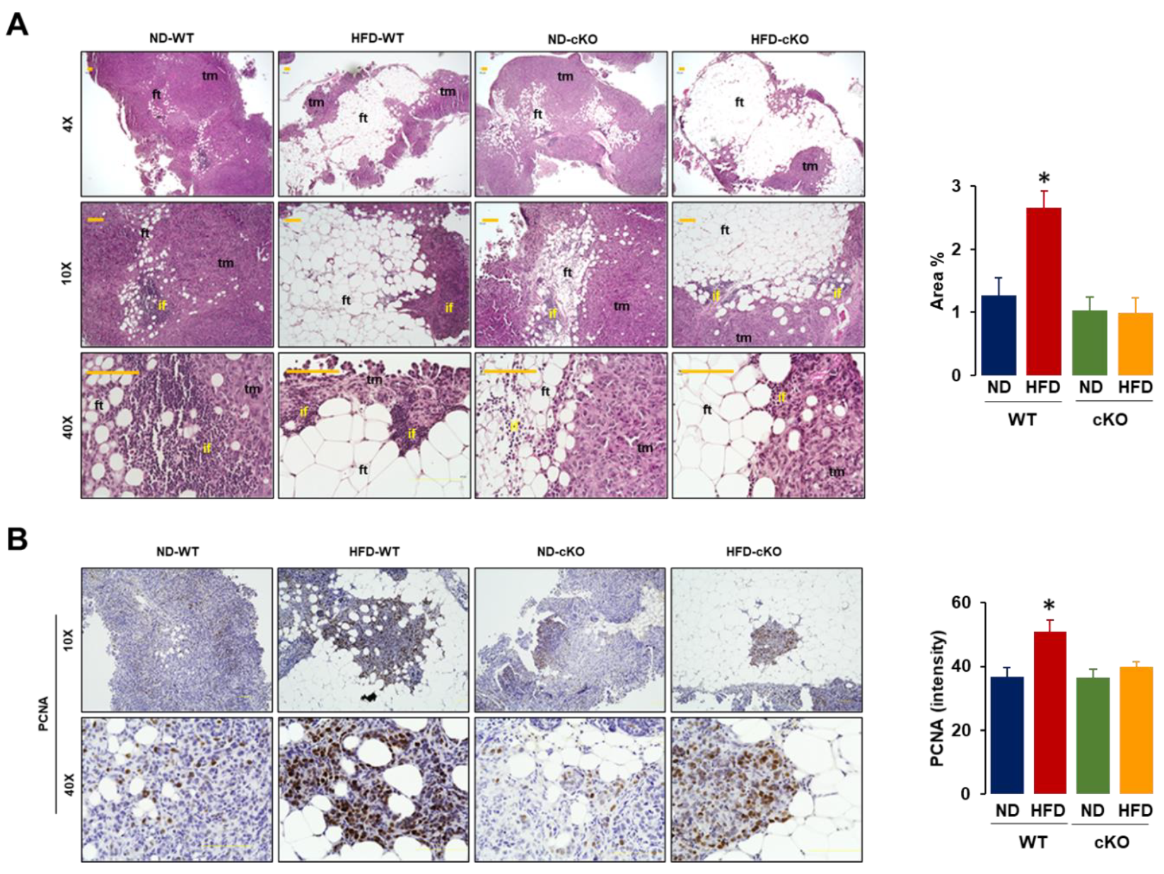 Cancers 13 05033 g005