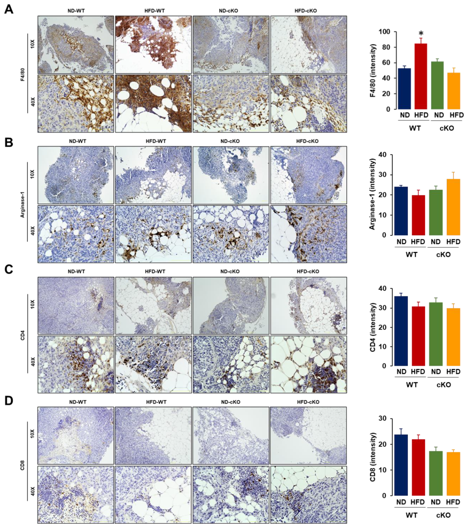 Cancers 13 05033 g006