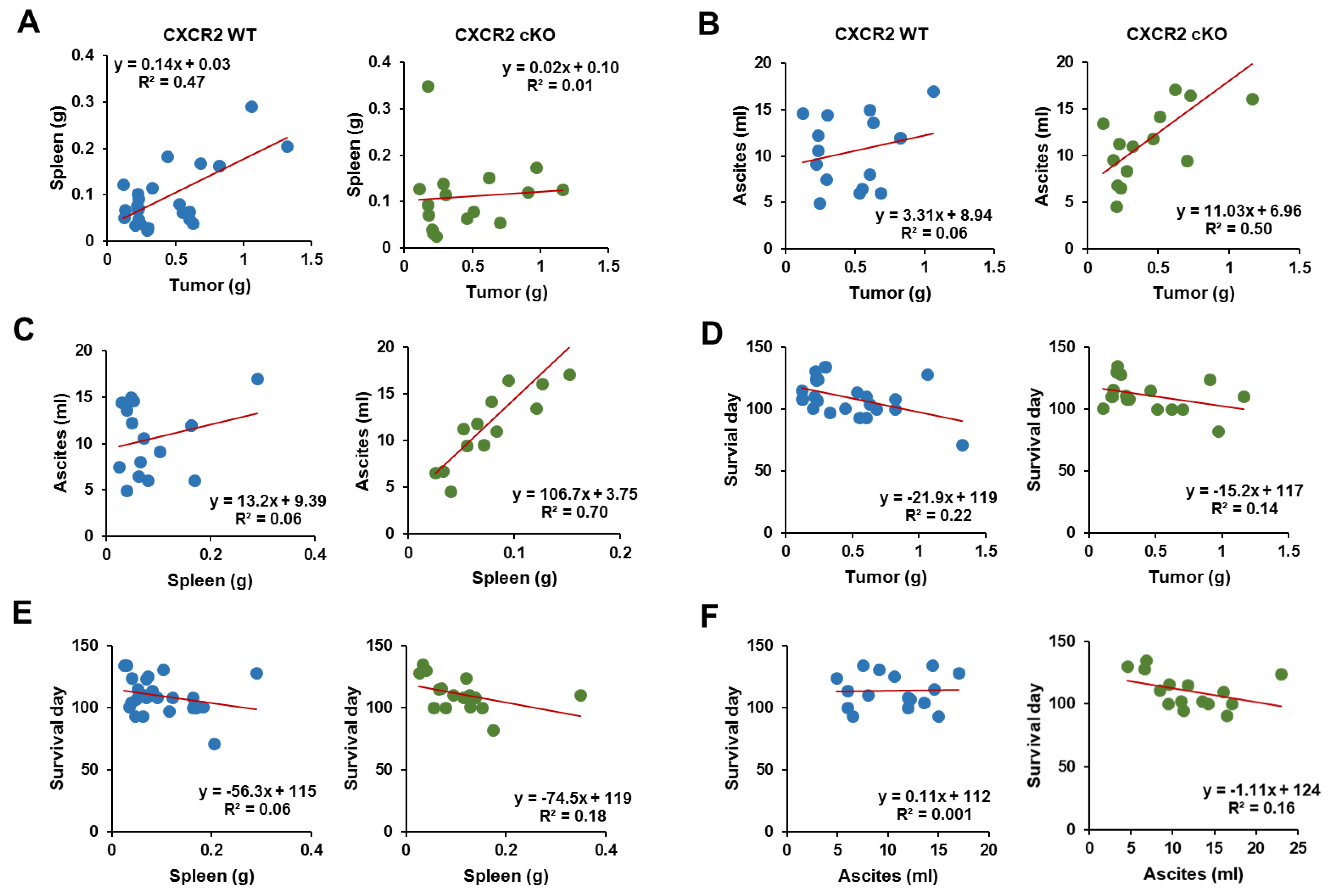 Cancers 13 05033 g007