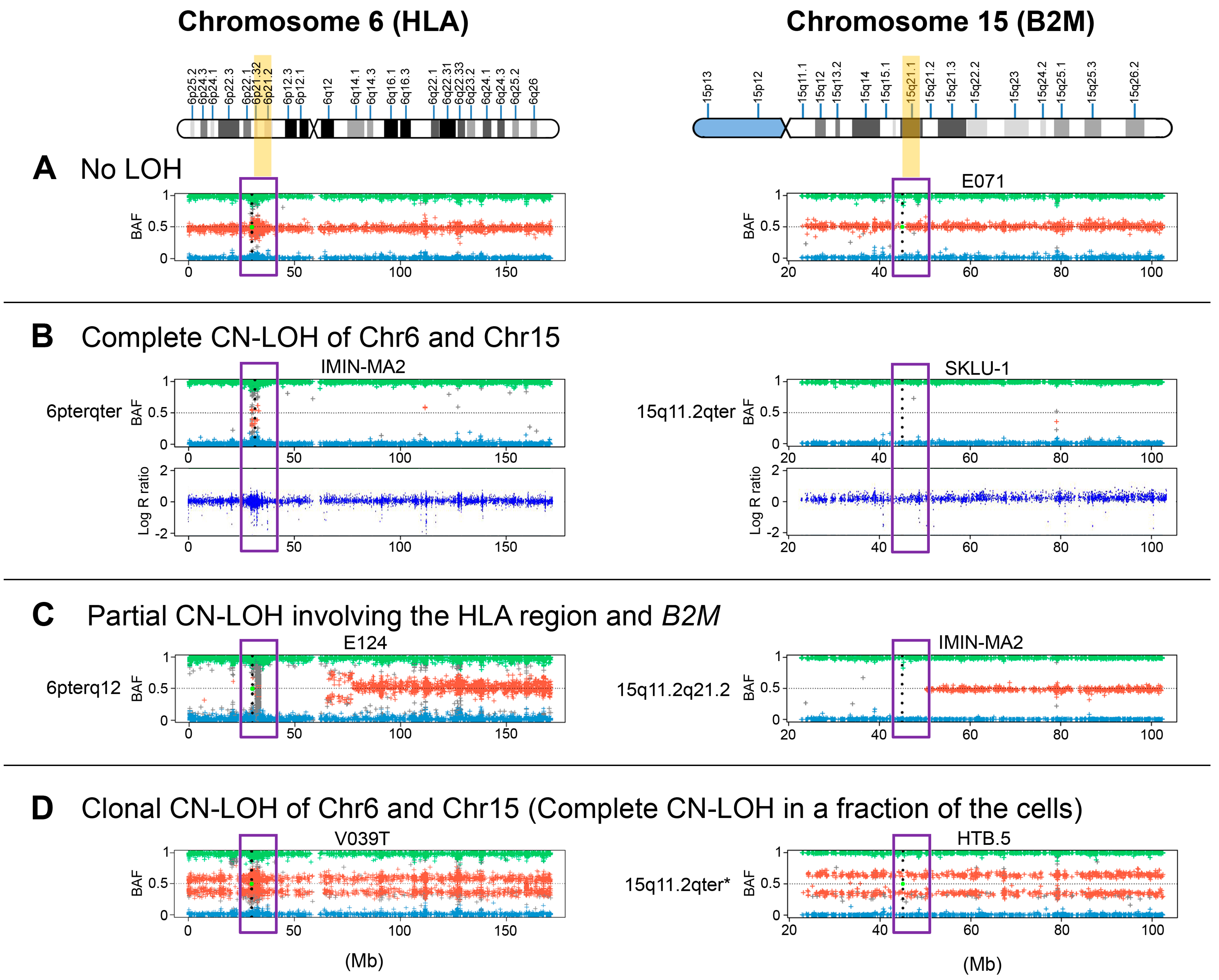 Cancers 13 05046 g003