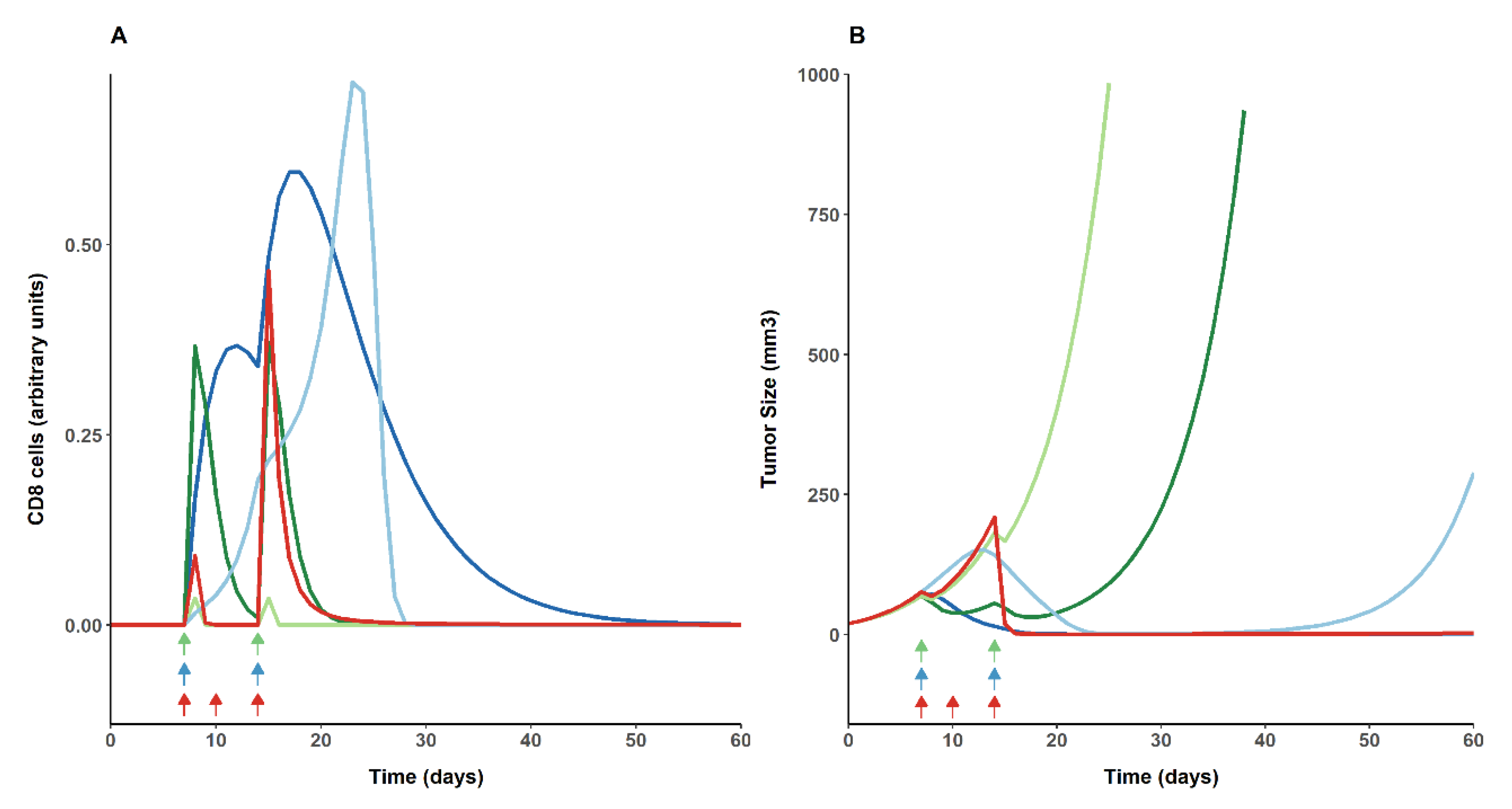 Cancers 13 05049 g003