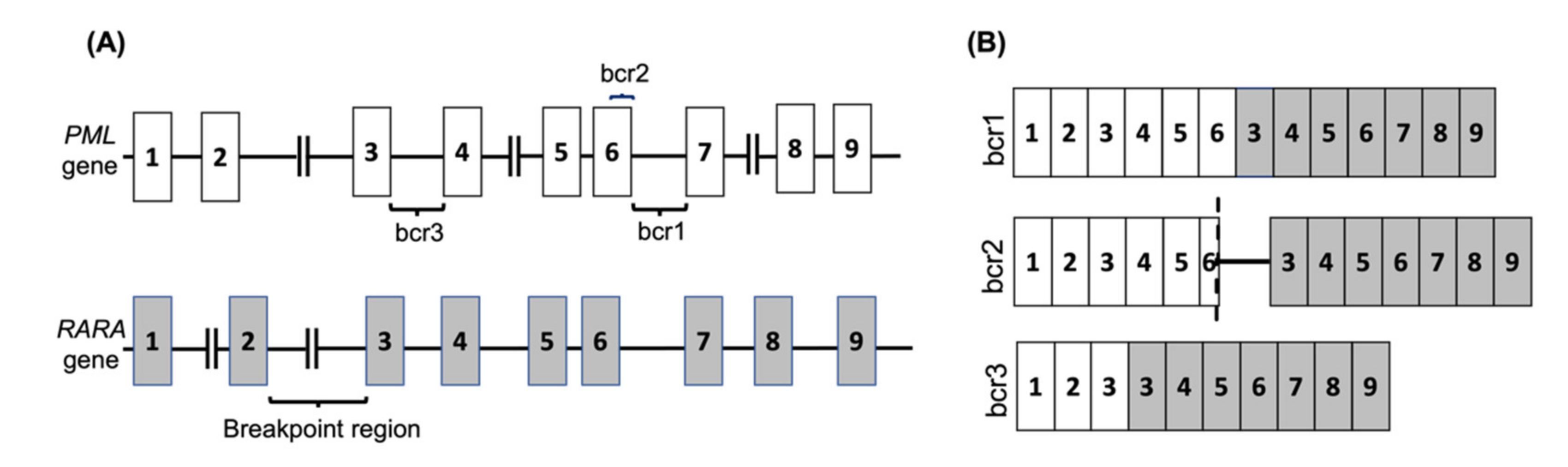 Cancers 13 05055 g001 Cancers 13 05055 g001