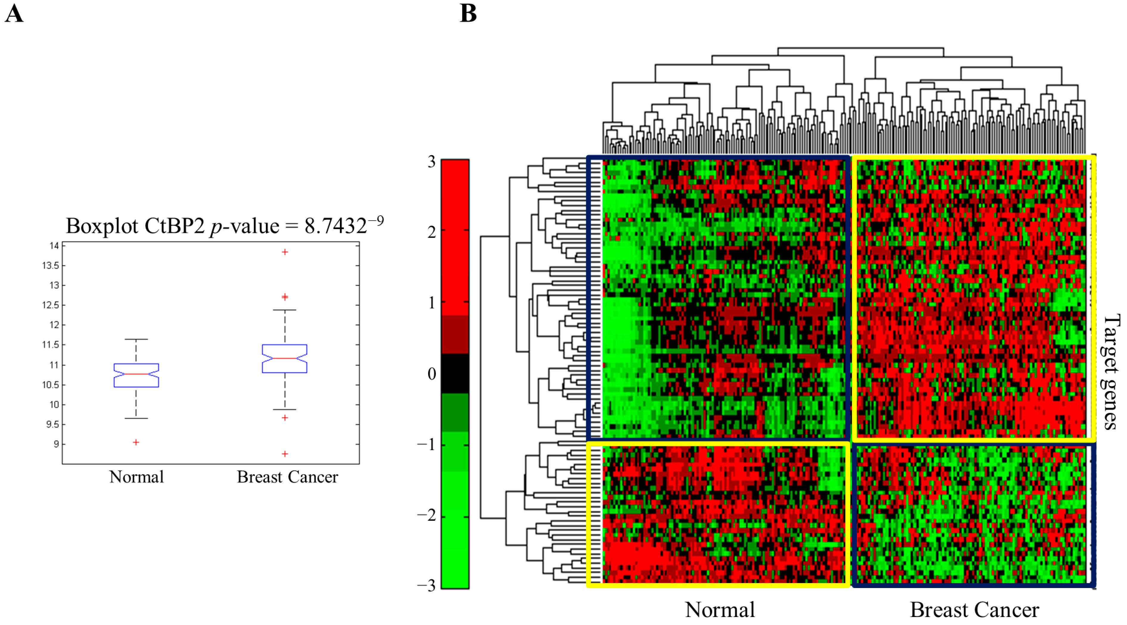 Cancers 13 05058 g001a