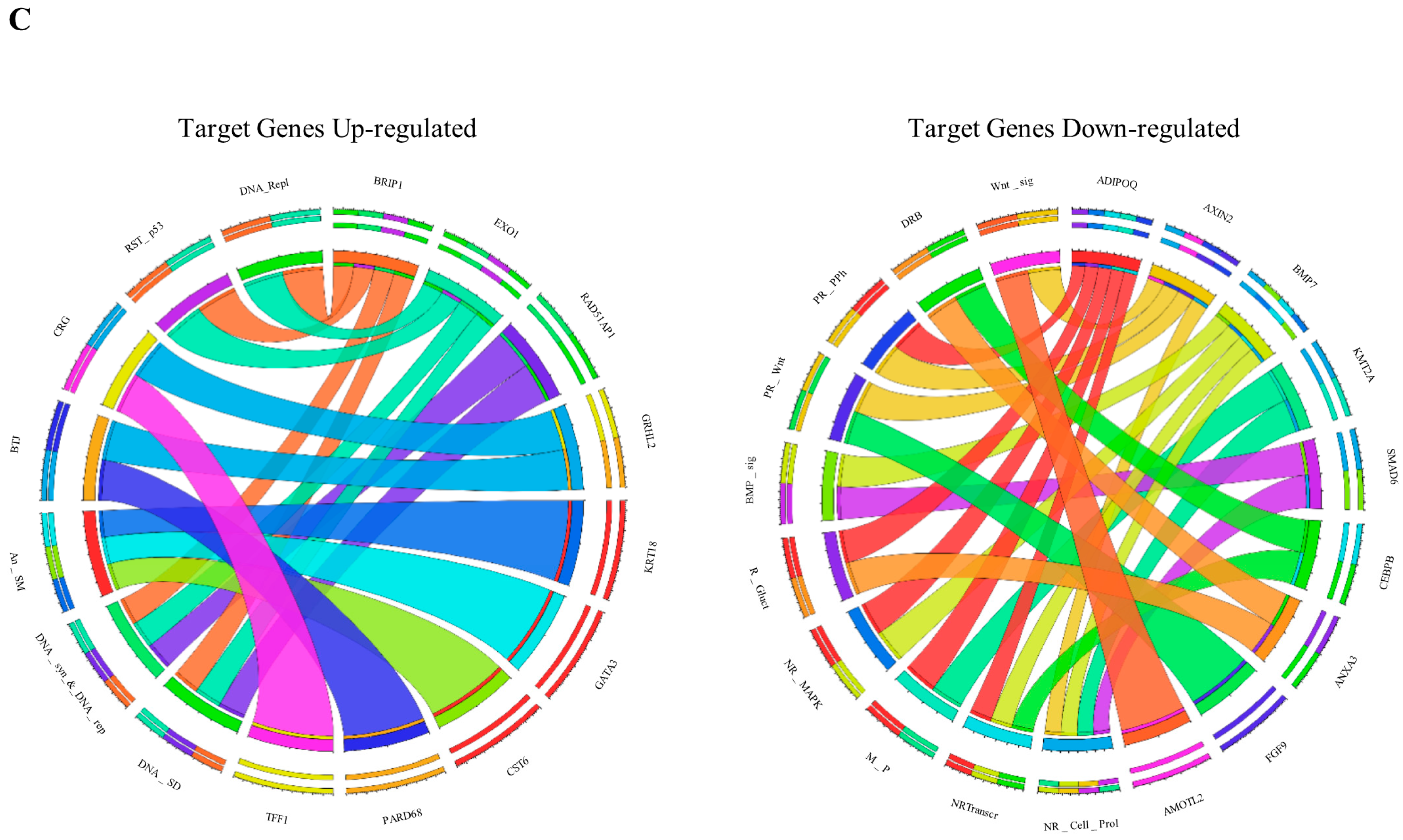 Cancers 13 05058 g001b