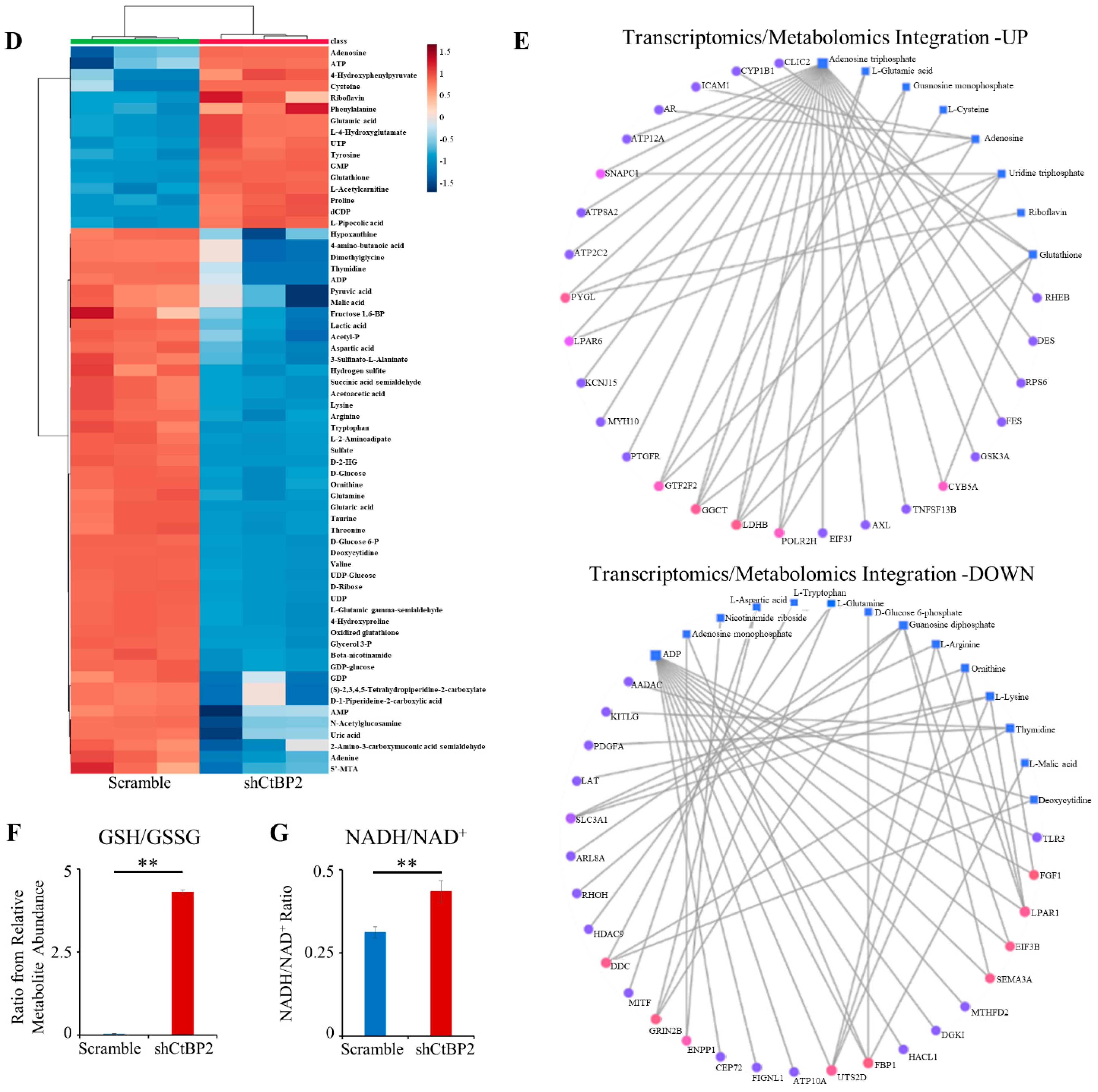 Cancers 13 05058 g003b