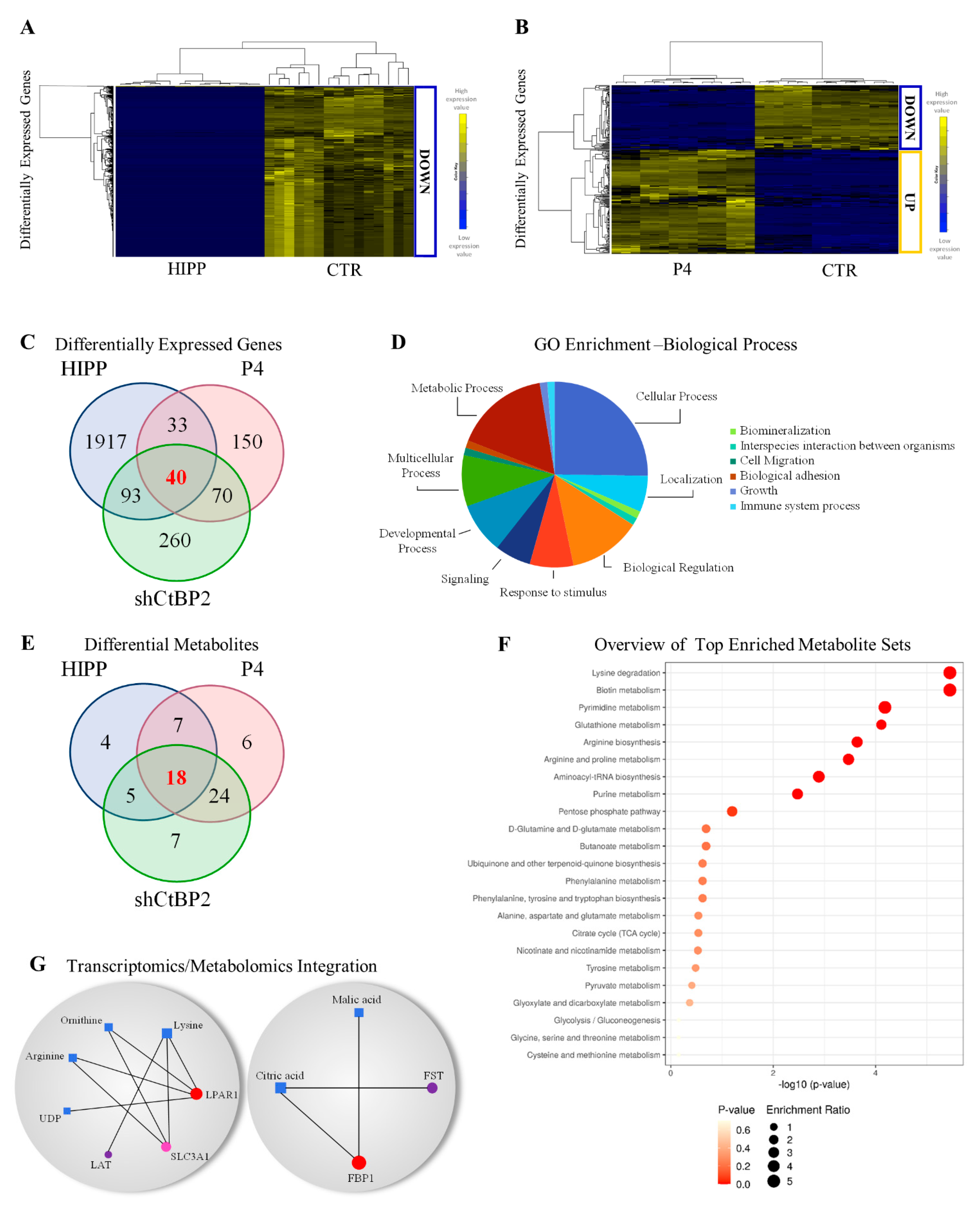 Cancers 13 05058 g004
