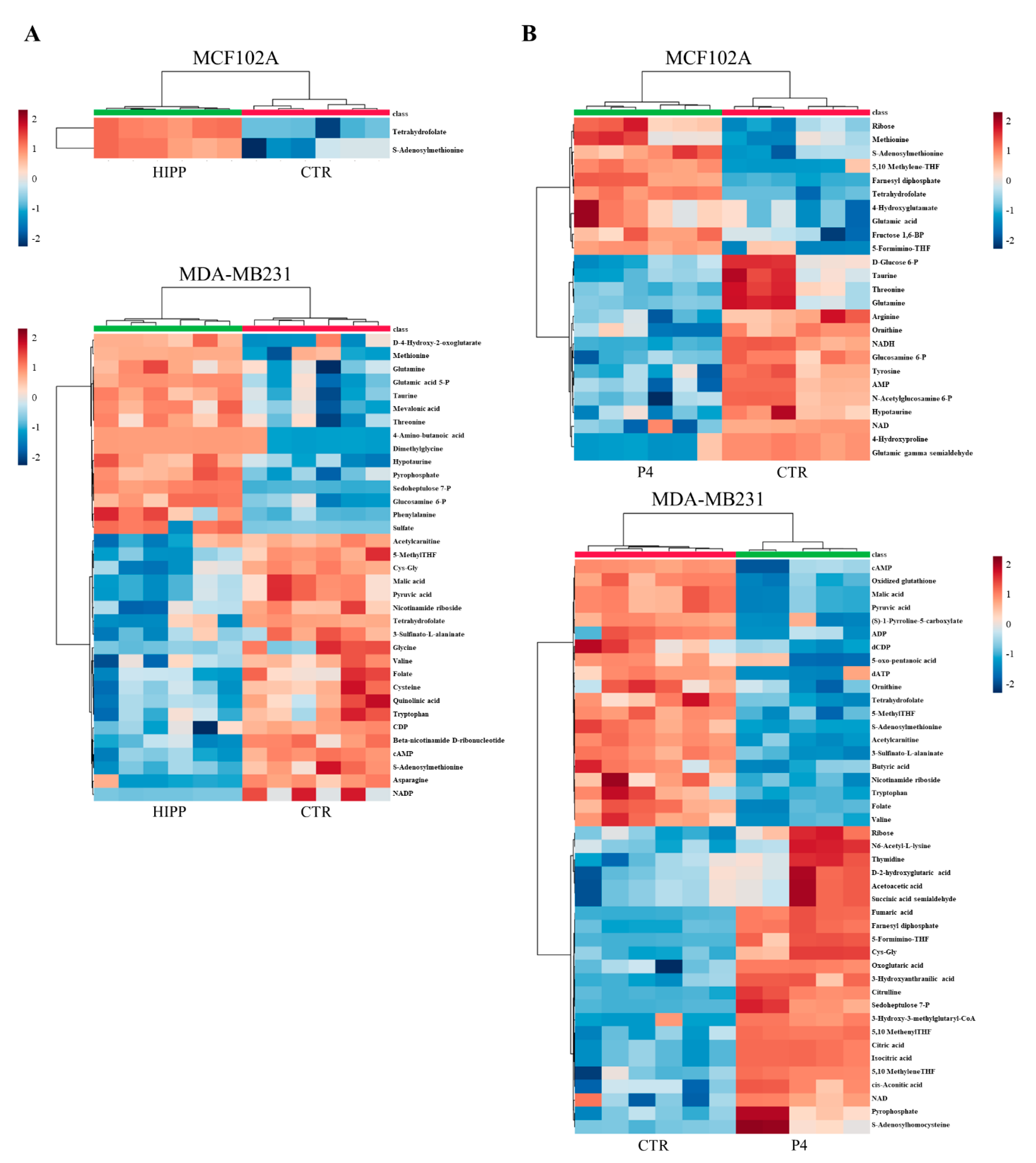 Cancers 13 05058 g005