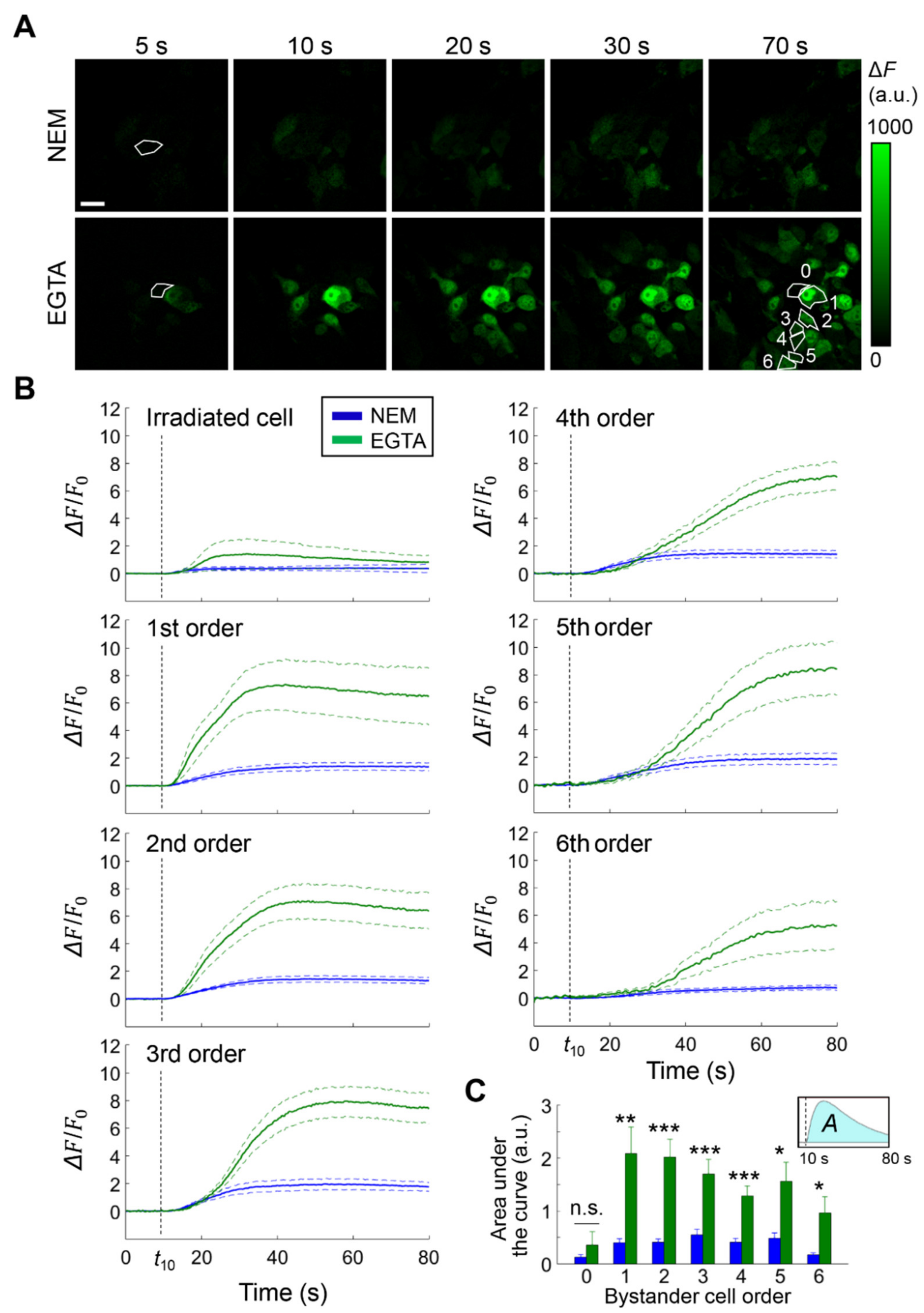 Cancers 13 05062 g001 Cancers 13 05062 g001