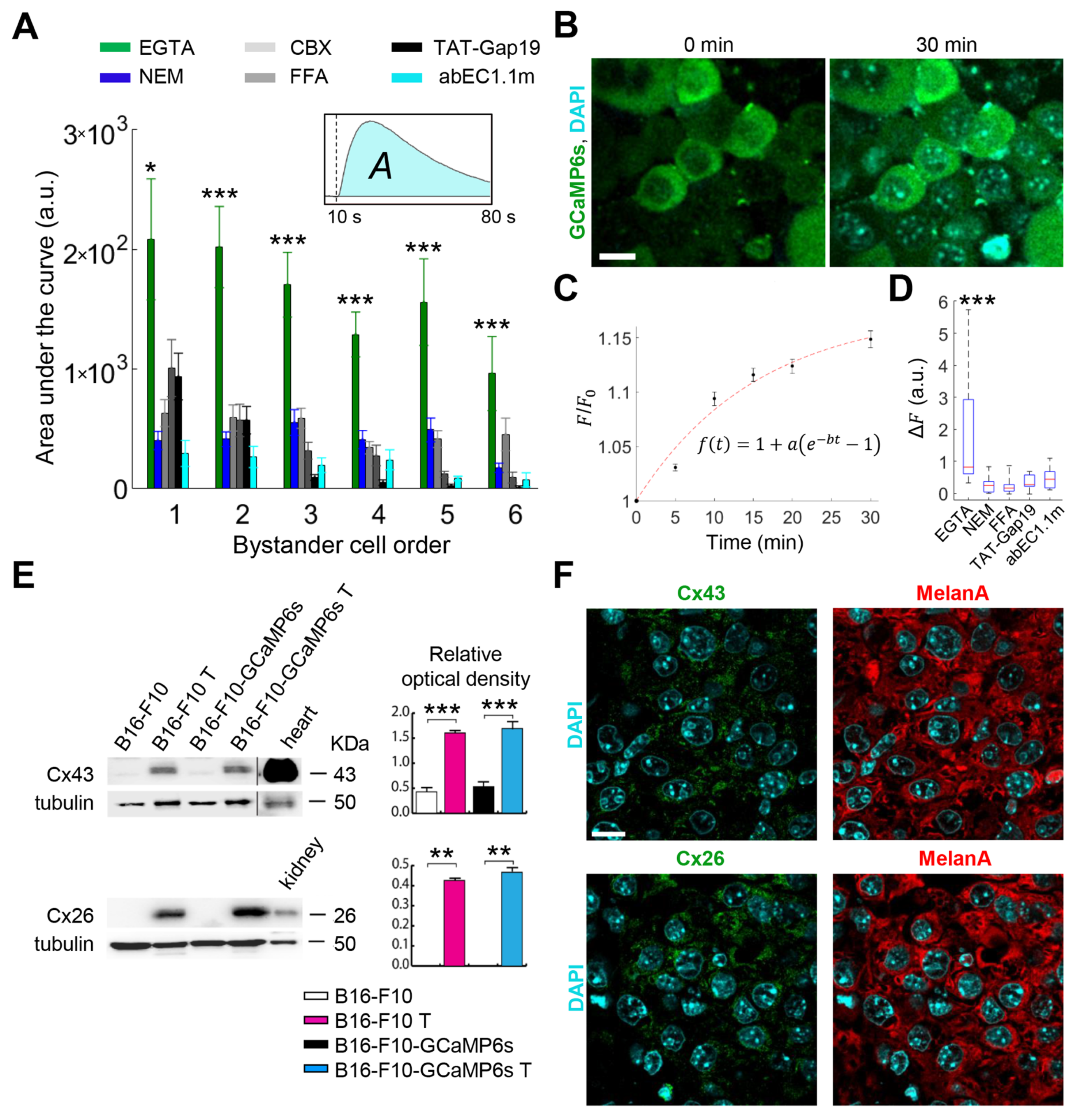 Cancers 13 05062 g002 Cancers 13 05062 g002