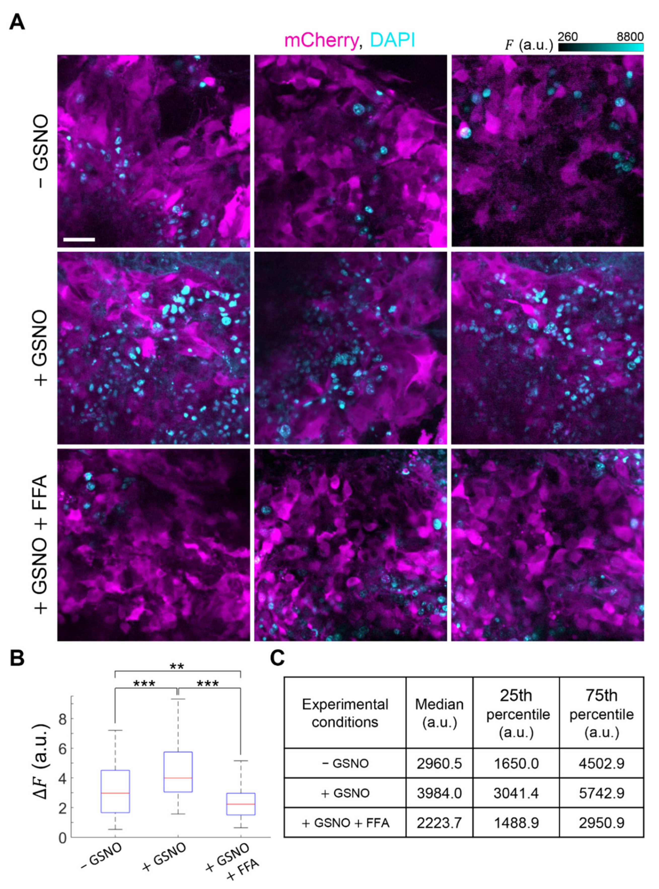 Cancers 13 05062 g005 Cancers 13 05062 g005