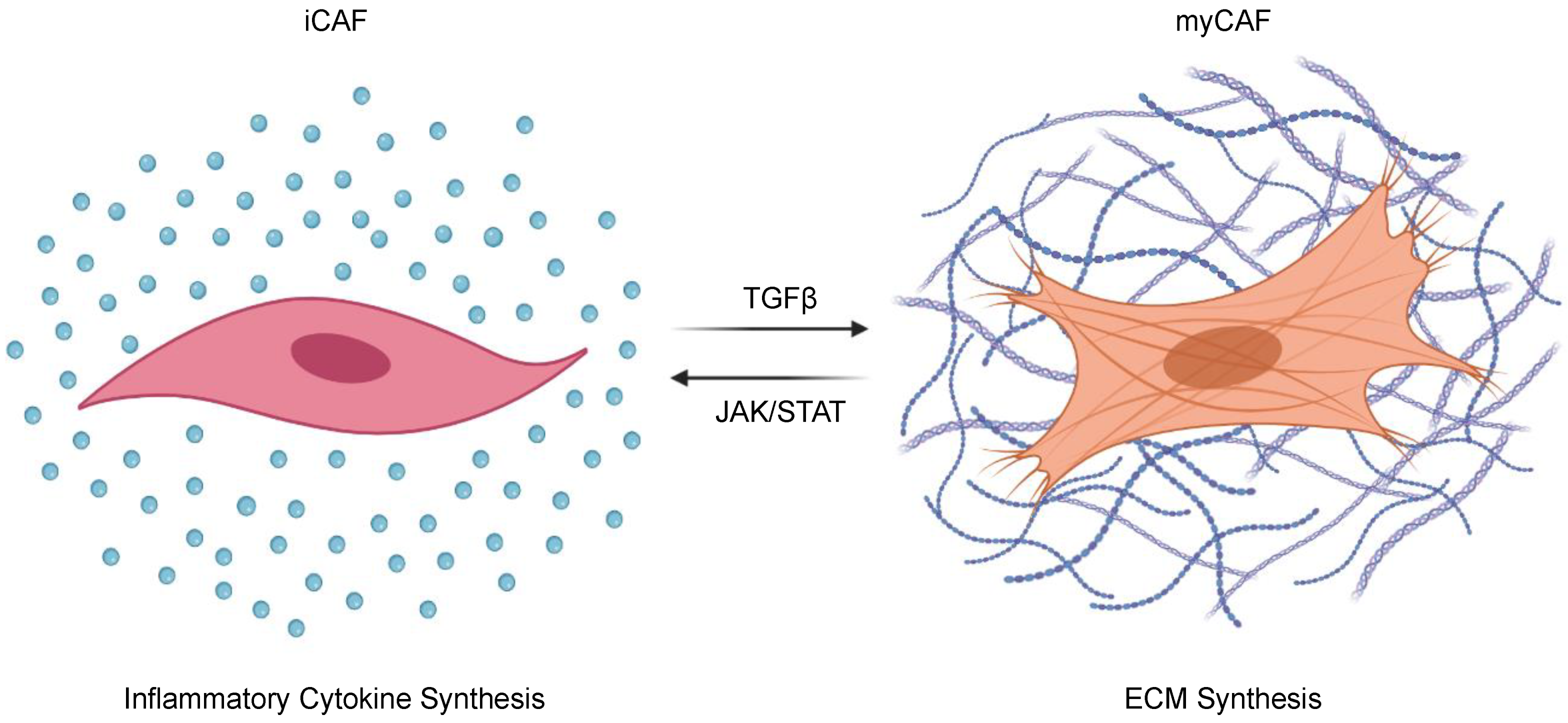 Cancers 13 05086 g002