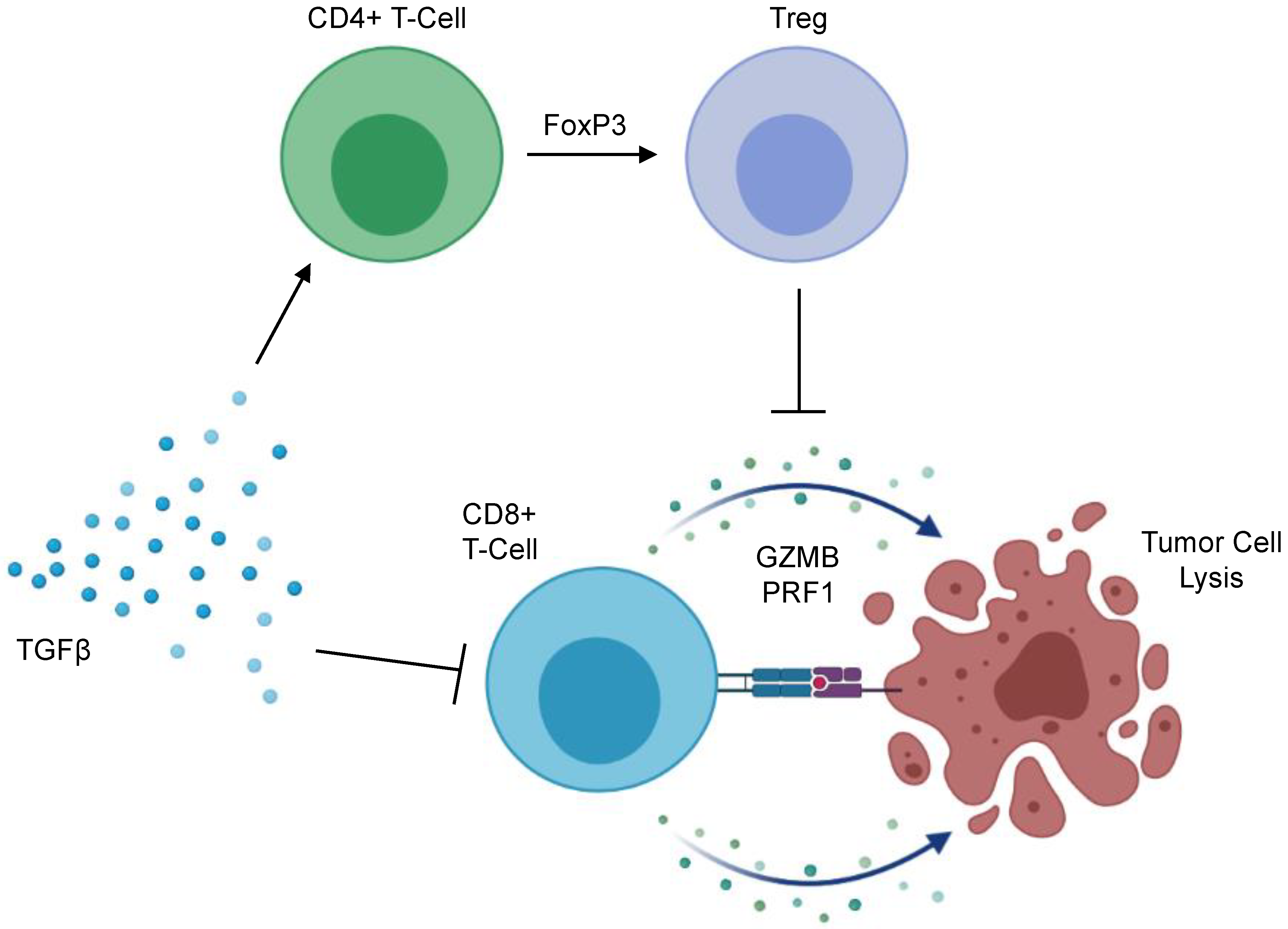 Cancers 13 05086 g003