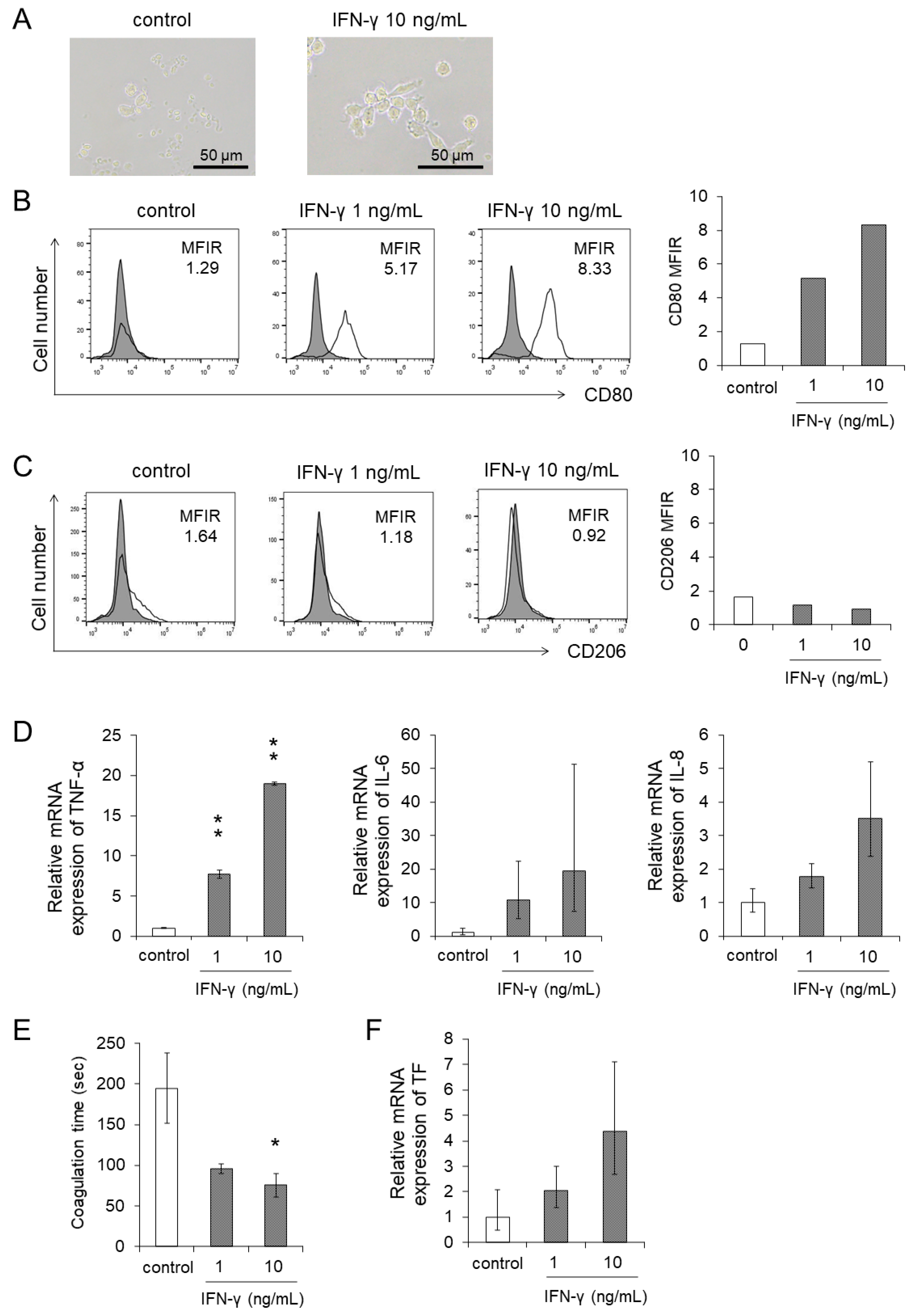 Cancers 13 05097 g005 Cancers 13 05097 g005