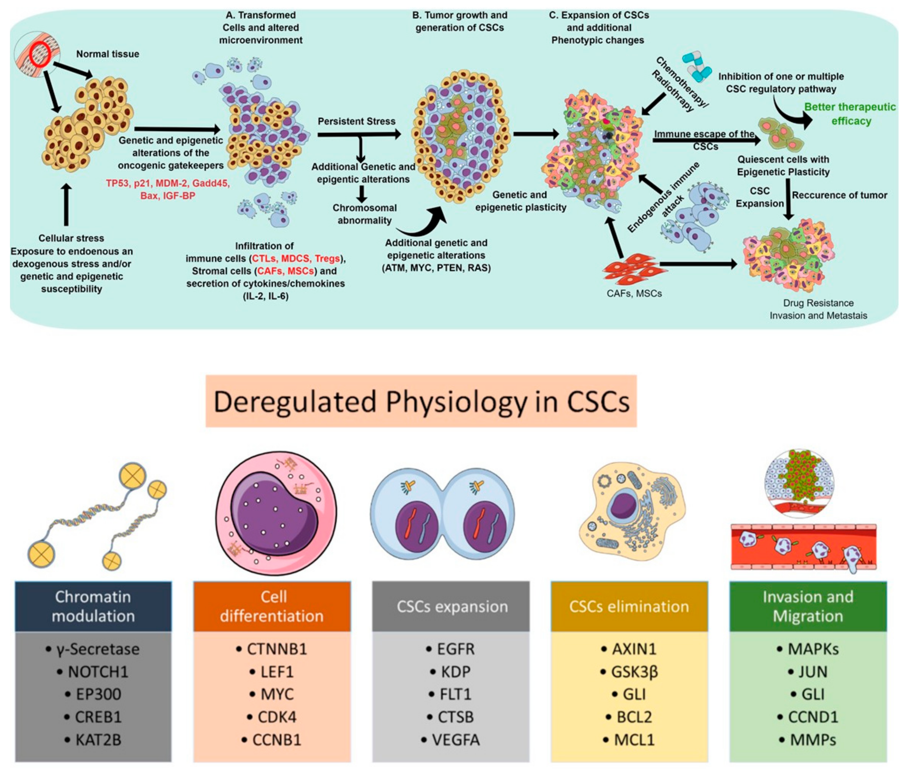 Cancers 13 05098 g001