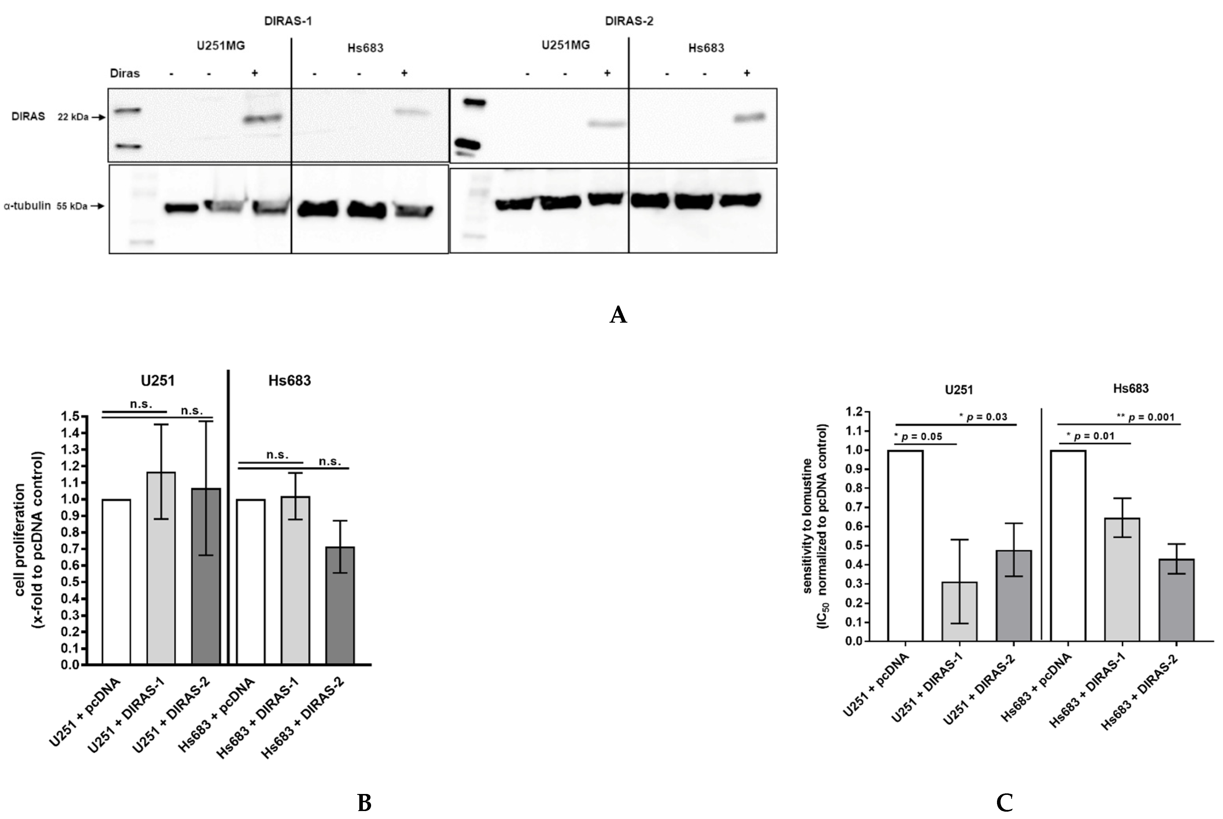 Cancers 13 05113 g005
