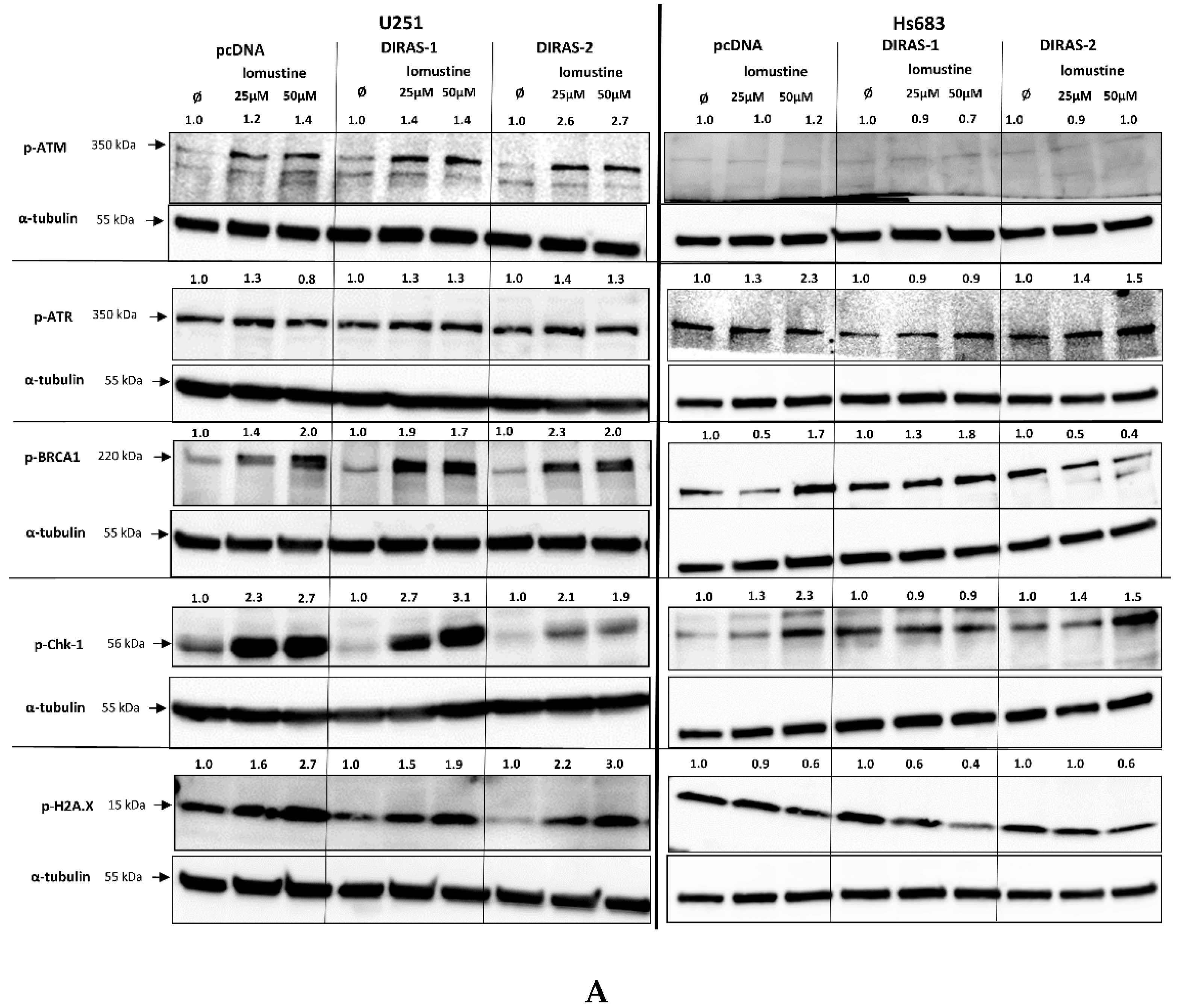 Cancers 13 05113 g006a