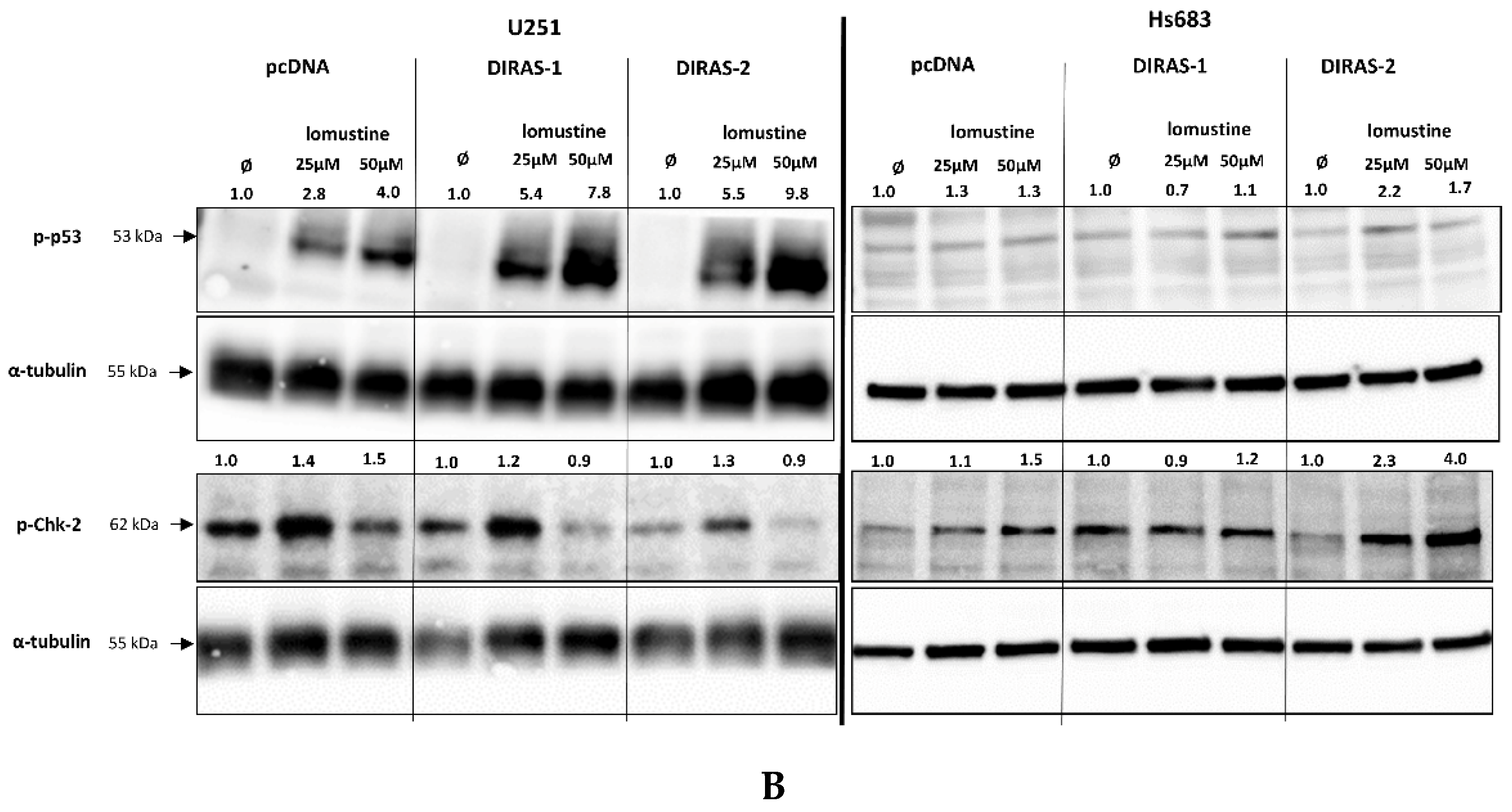 Cancers 13 05113 g006b