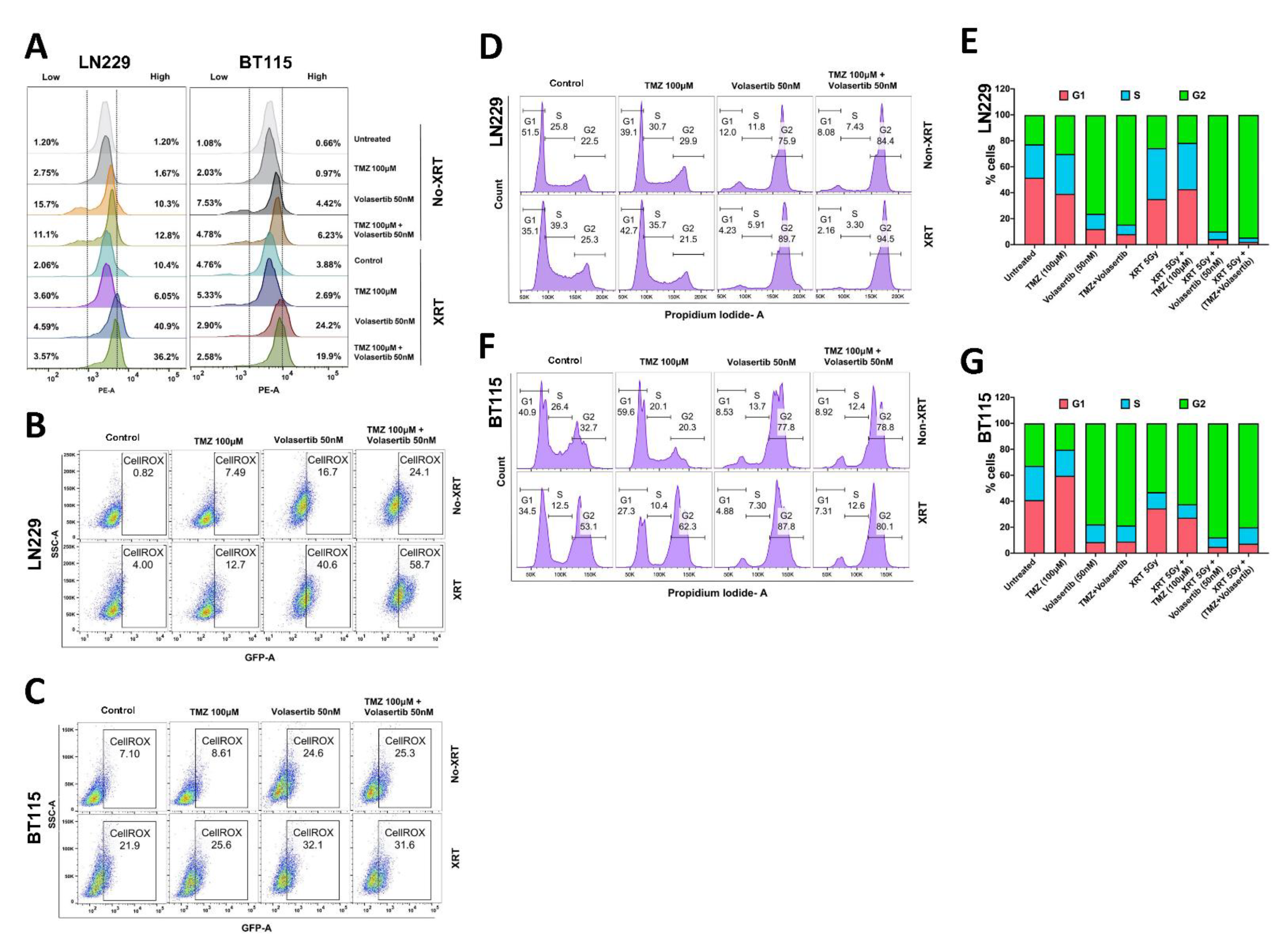 Cancers 13 05114 g002