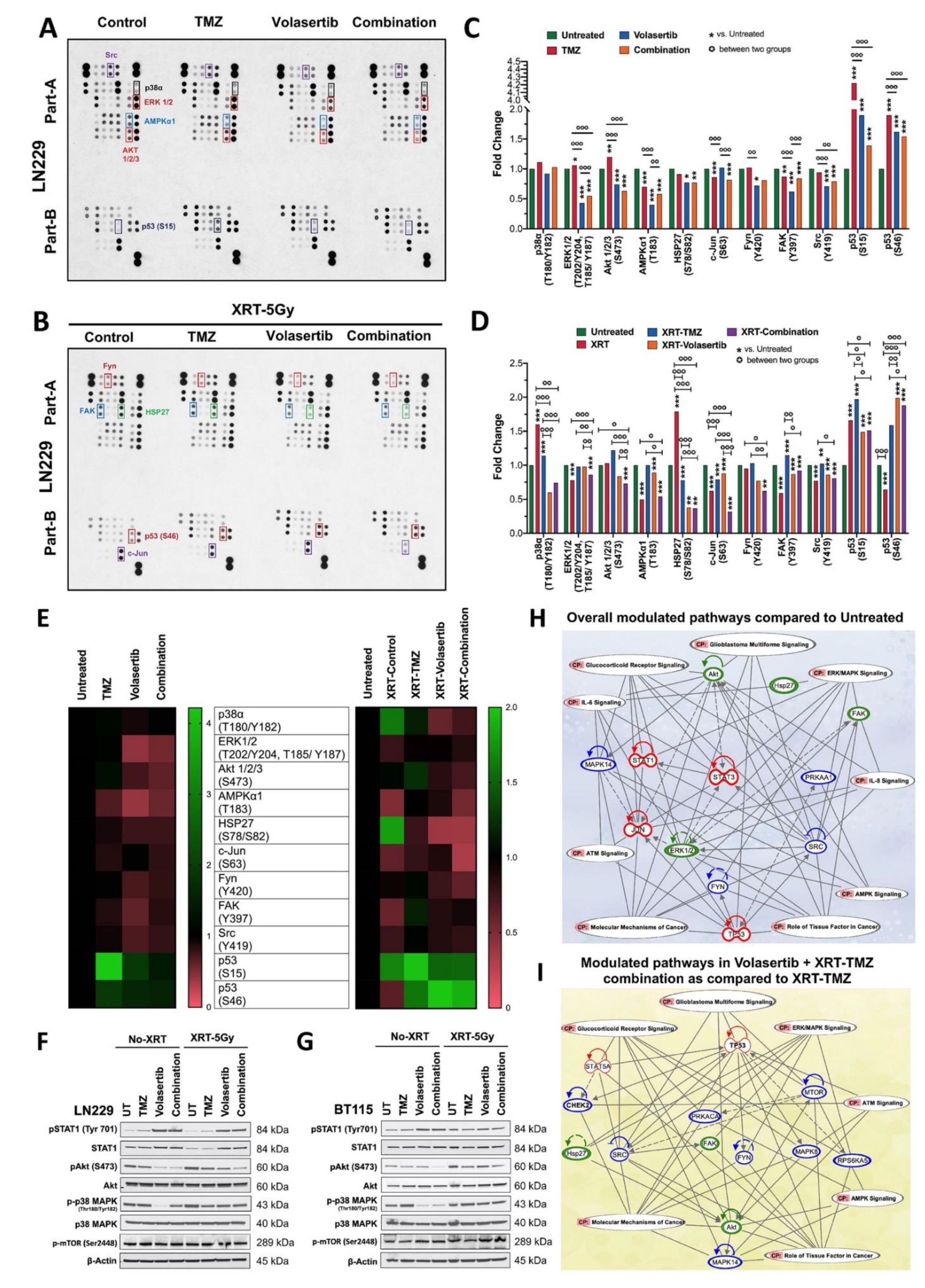 Cancers 13 05114 g004