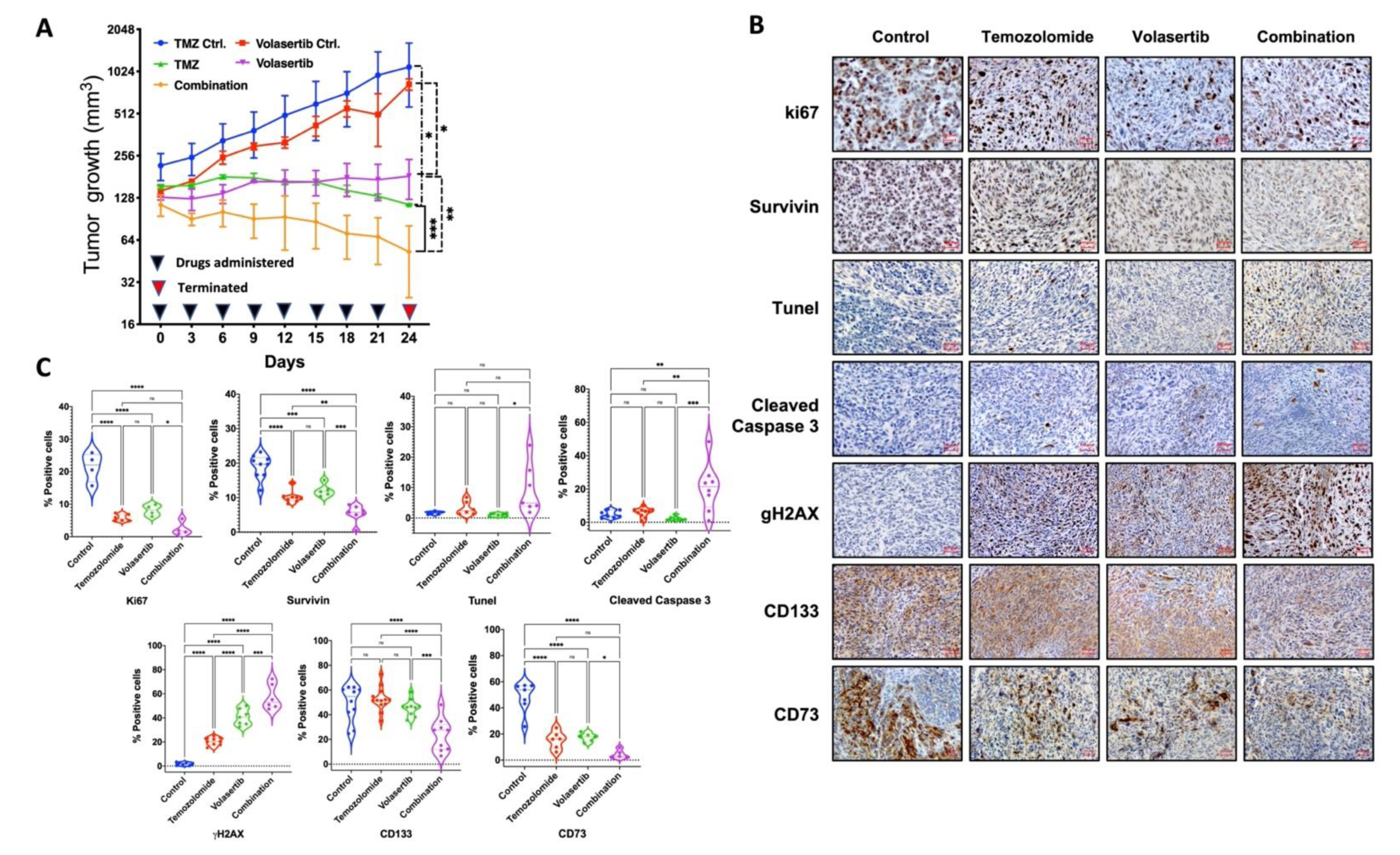 Cancers 13 05114 g006