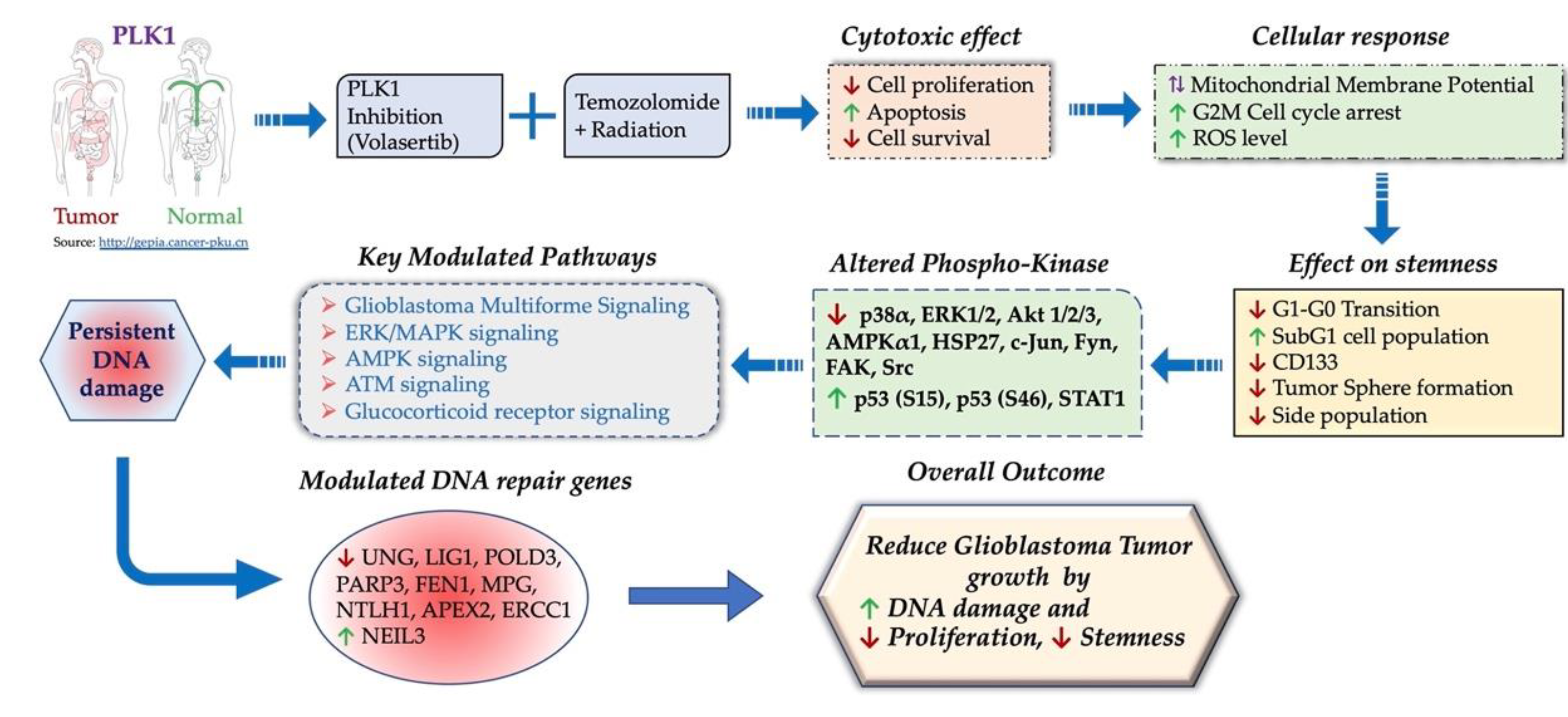 Cancers 13 05114 g007