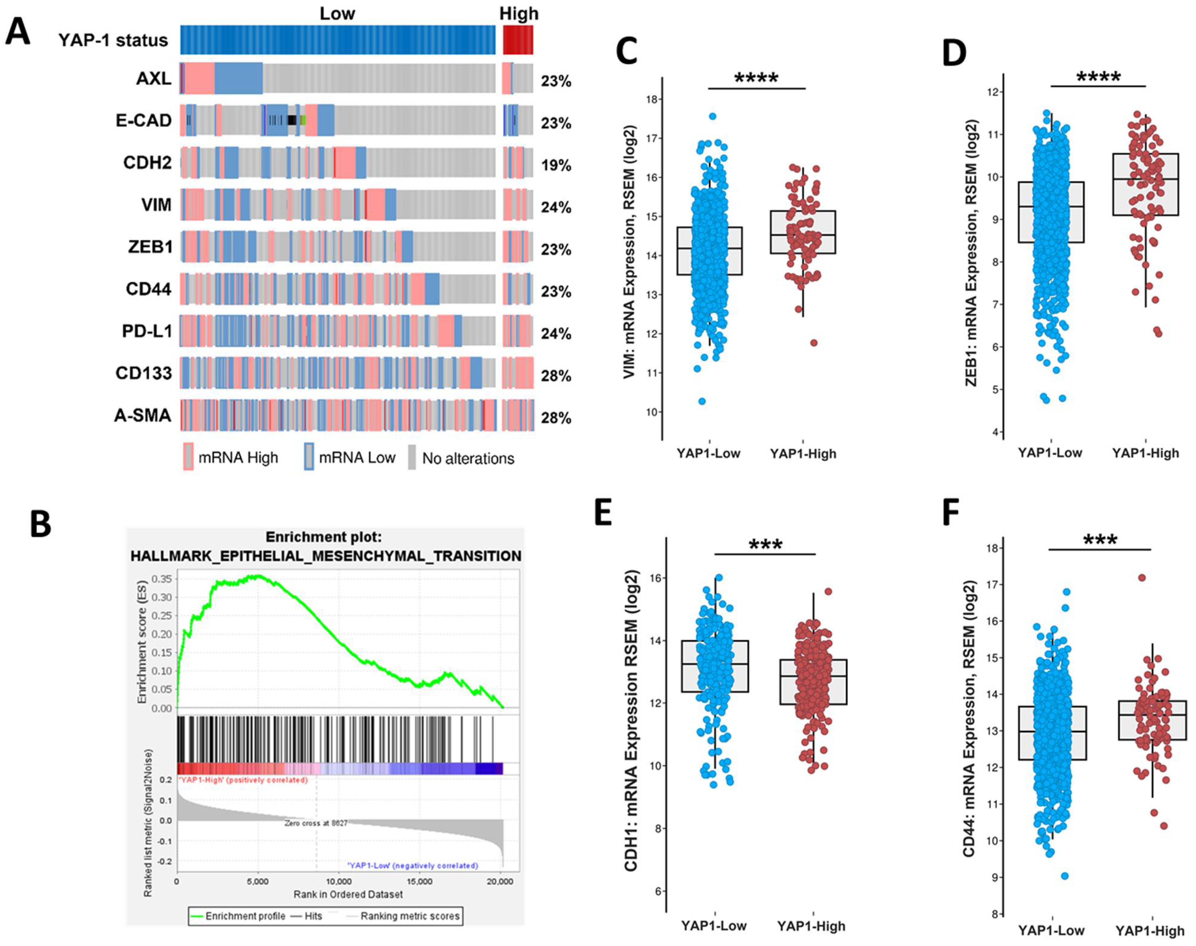 Cancers 13 05118 g002