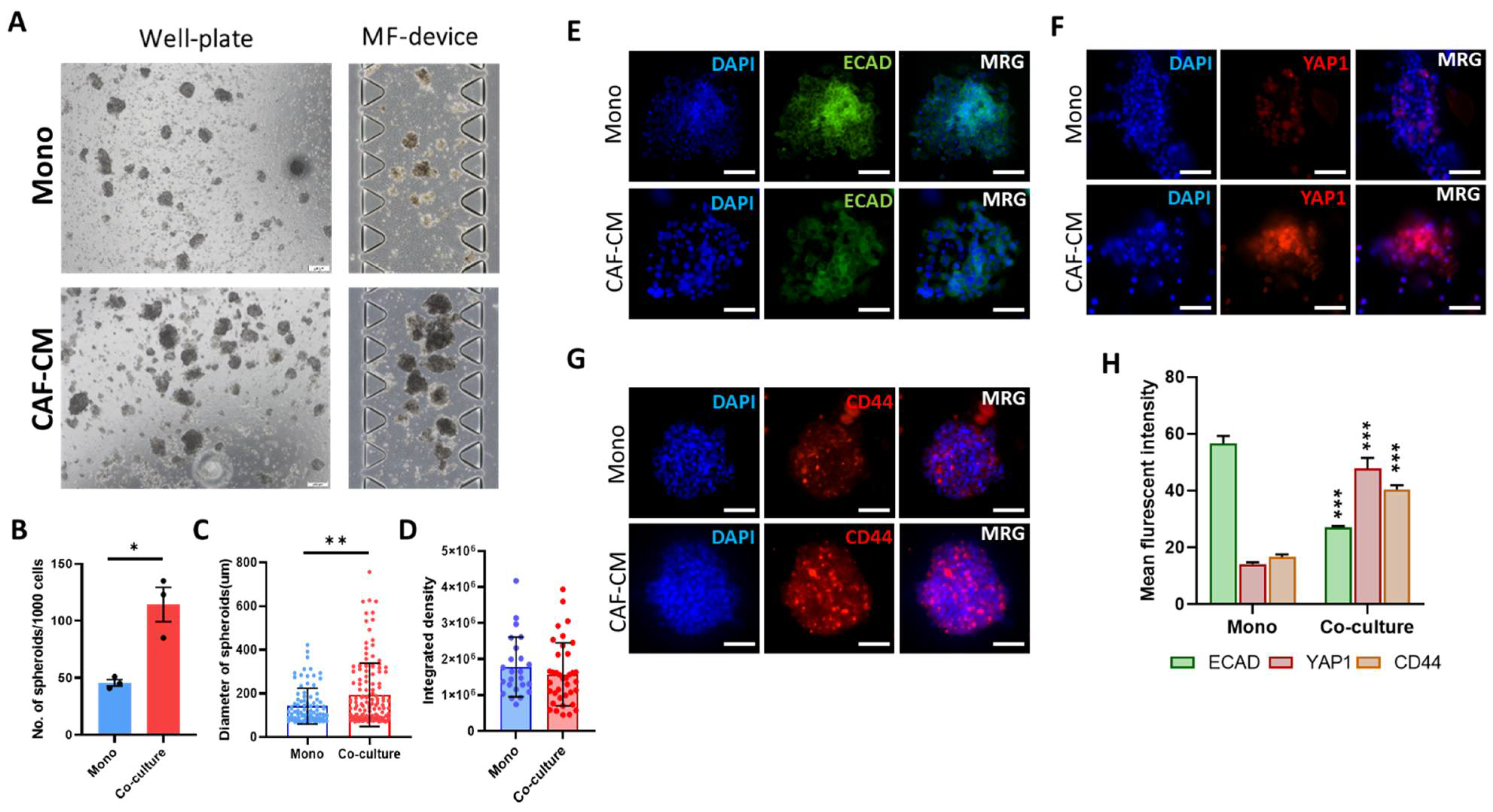 Cancers 13 05118 g003