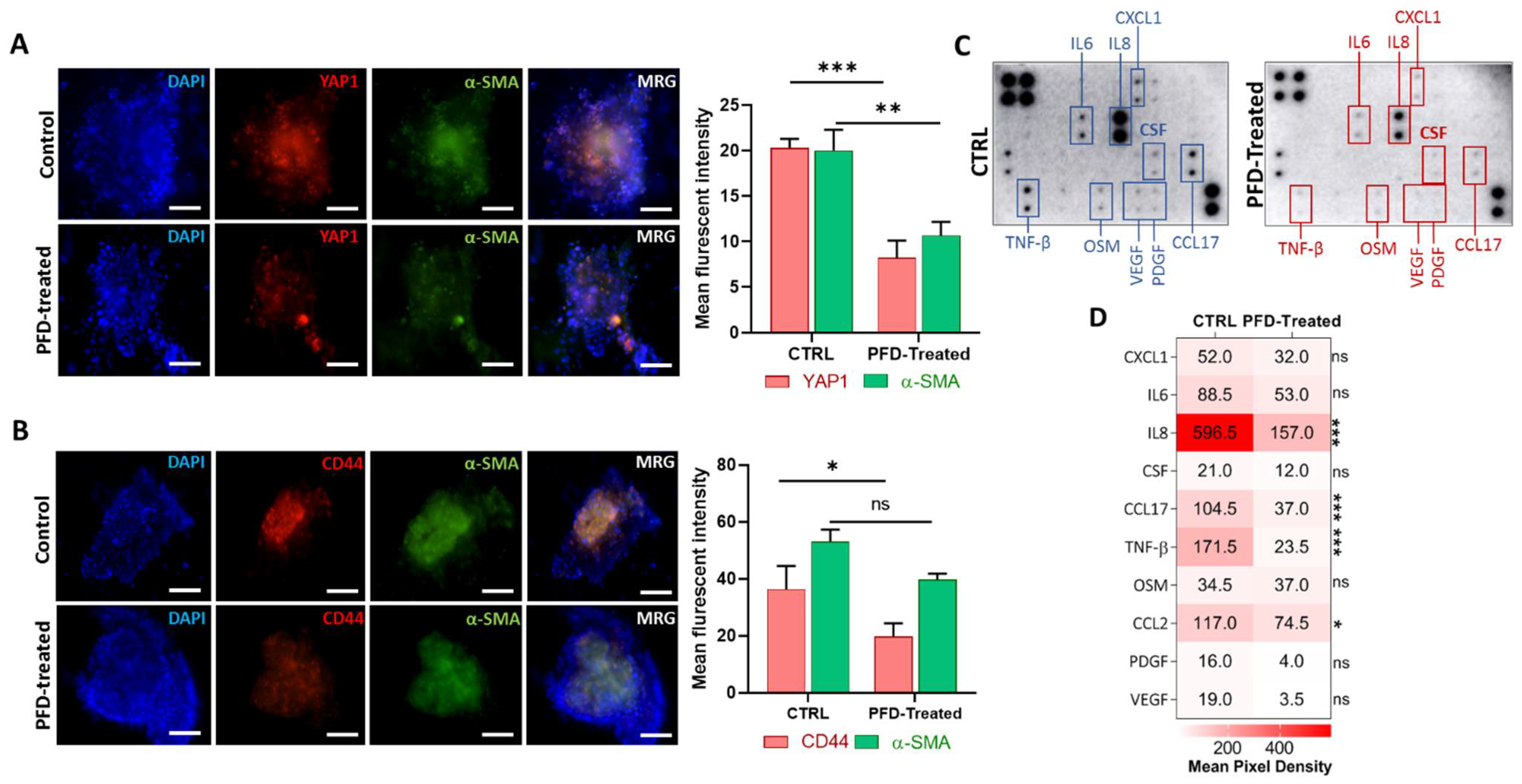Cancers 13 05118 g005