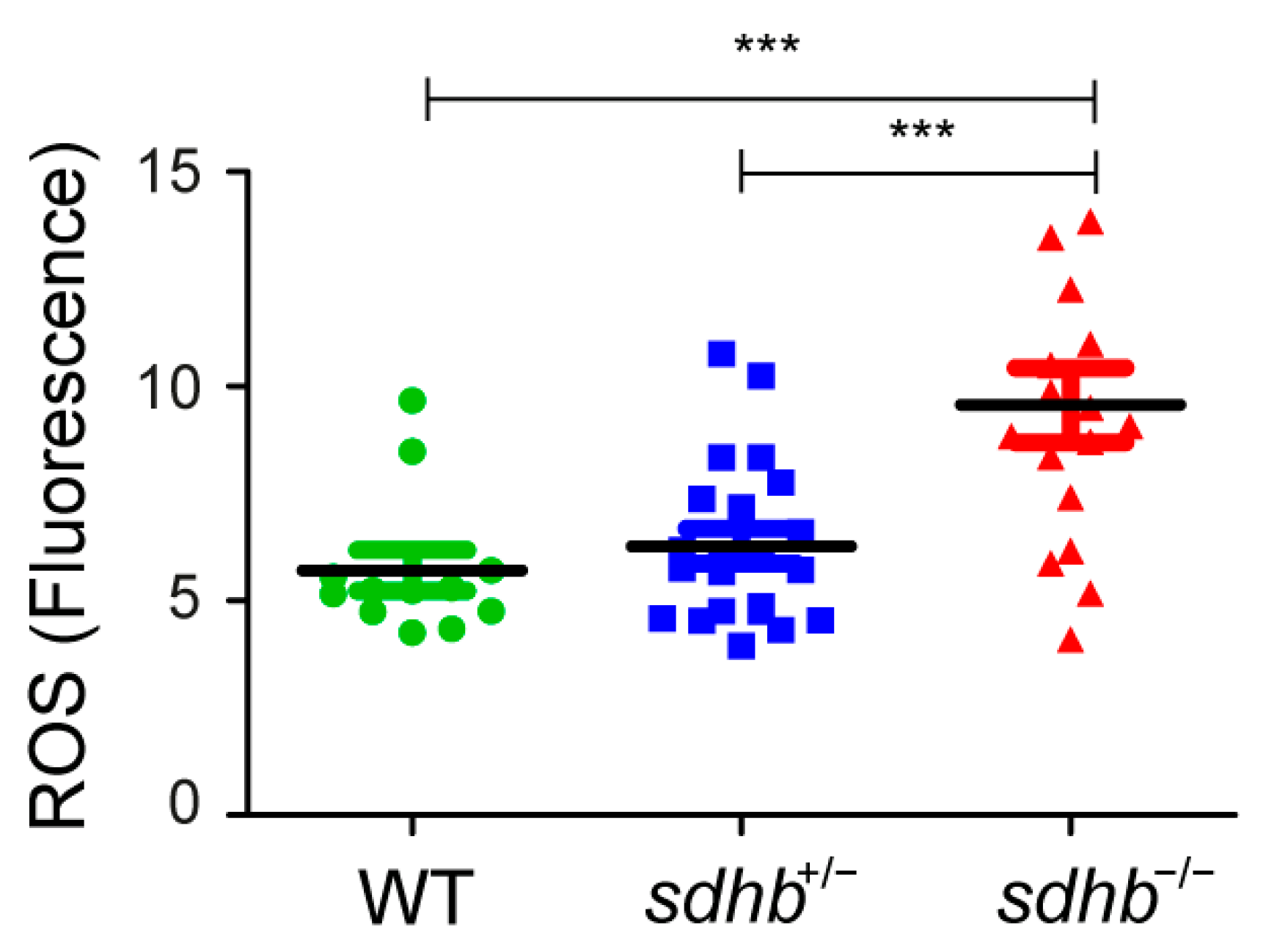 Cancers 13 05124 g001