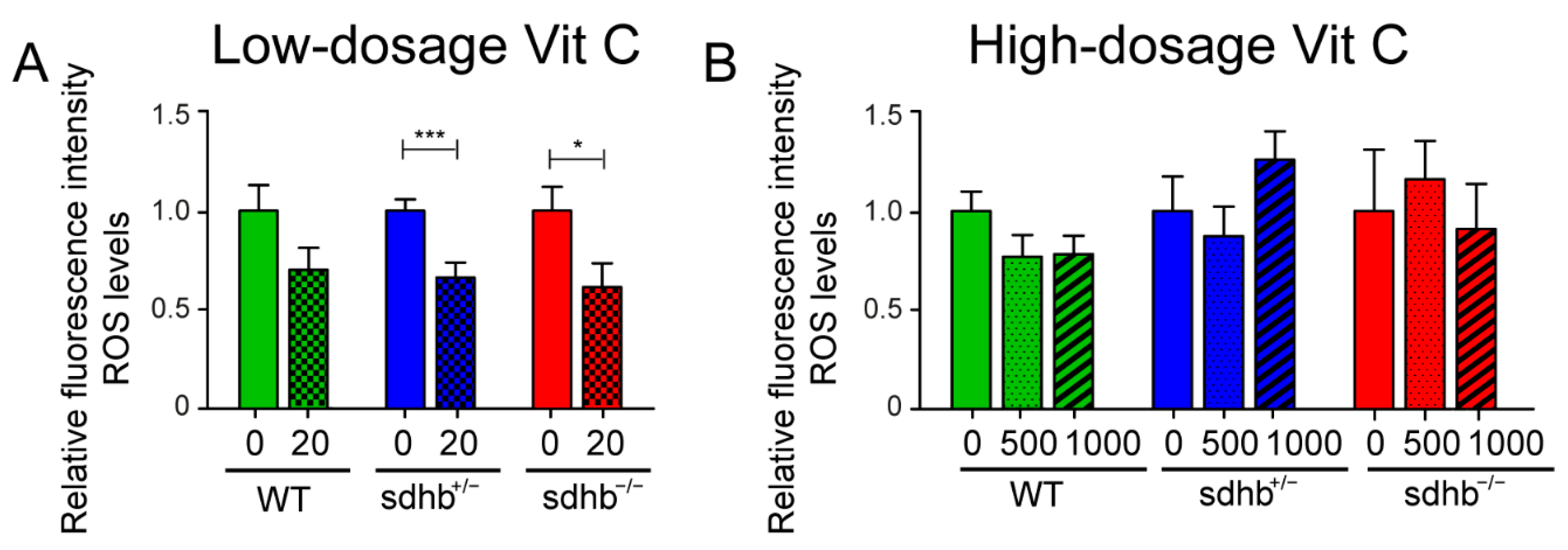 Cancers 13 05124 g004