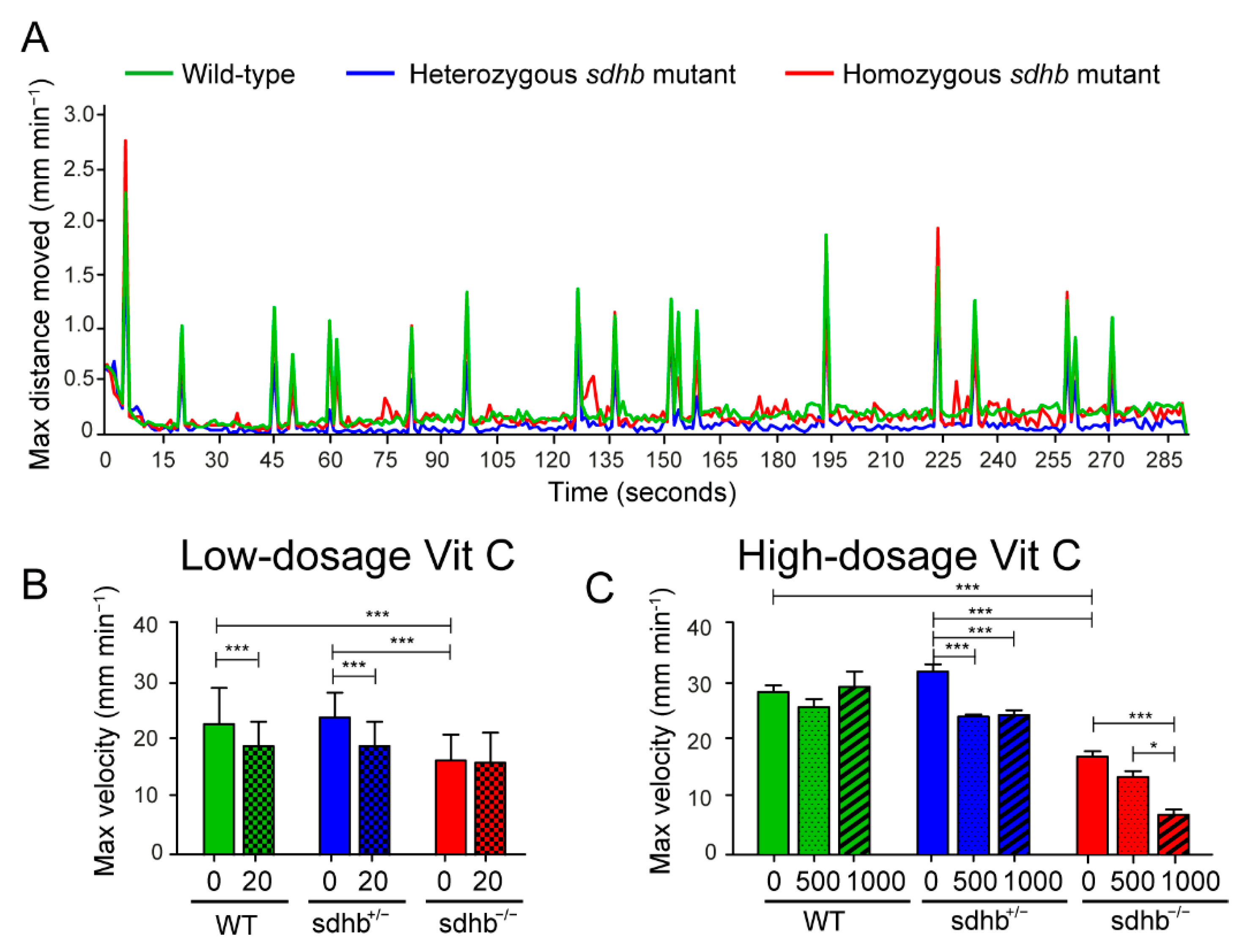 Cancers 13 05124 g005
